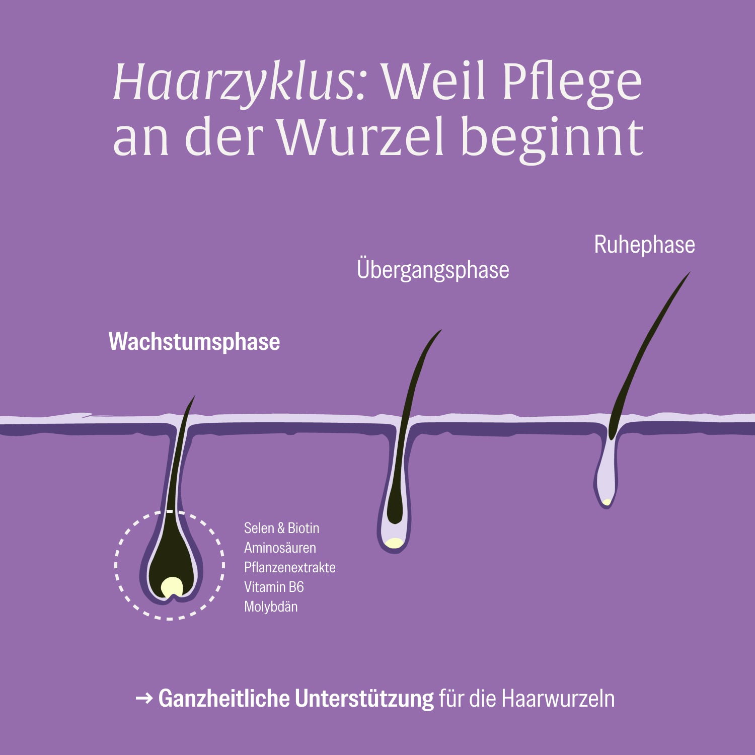 naturtreu-rapunzelm-hne-haarwurzel-komplex-mit-hirse-kapseln image 7