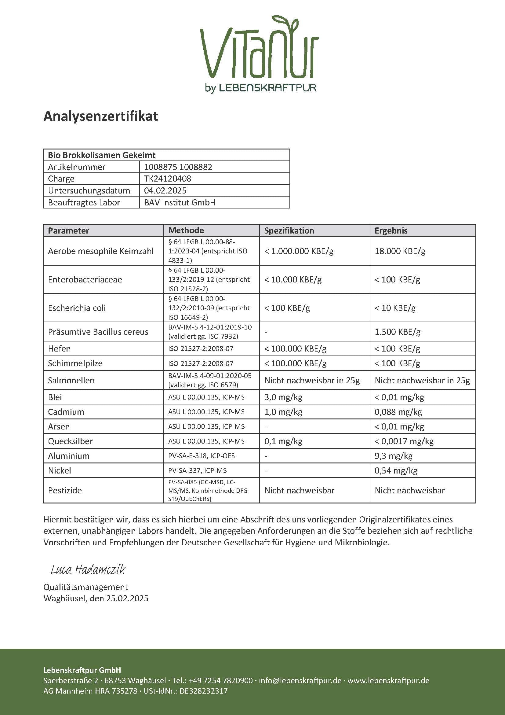 lebenskraftpur-bio-brokkolisamen-gekeimt-rohkost image 6