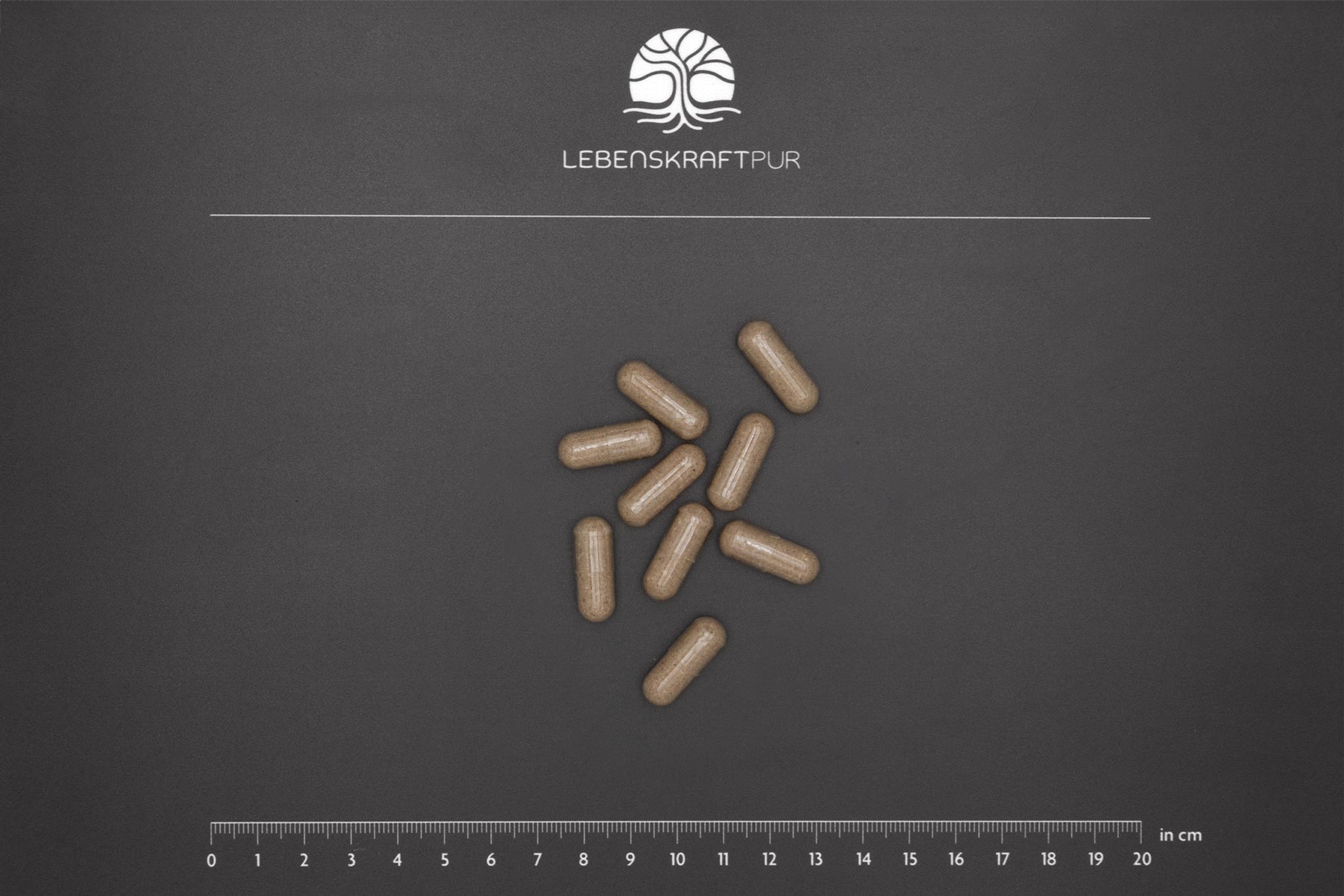 lebenskraftpur-bio-innereien-komplex-kapseln-rind image 3