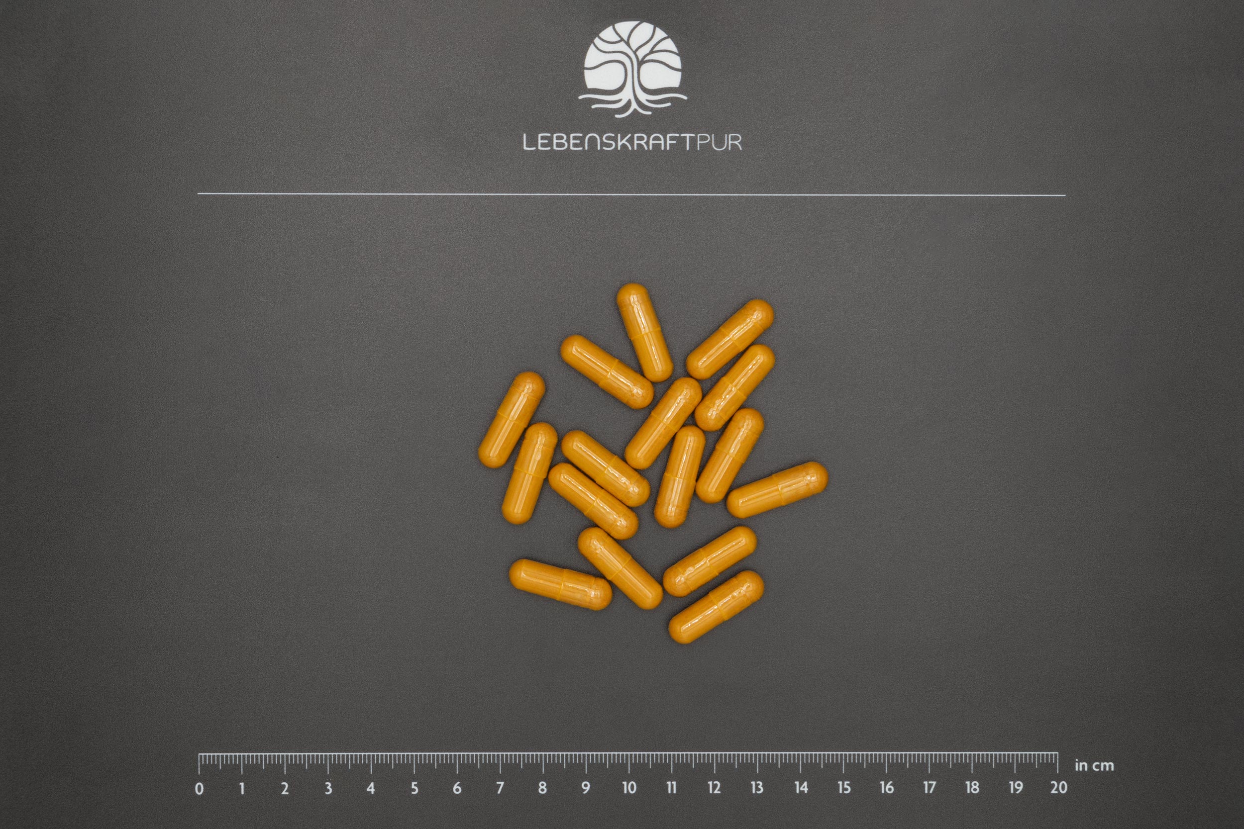 lebenskraftpur-curcumin-vollspektrum-komplex-kapseln image 3