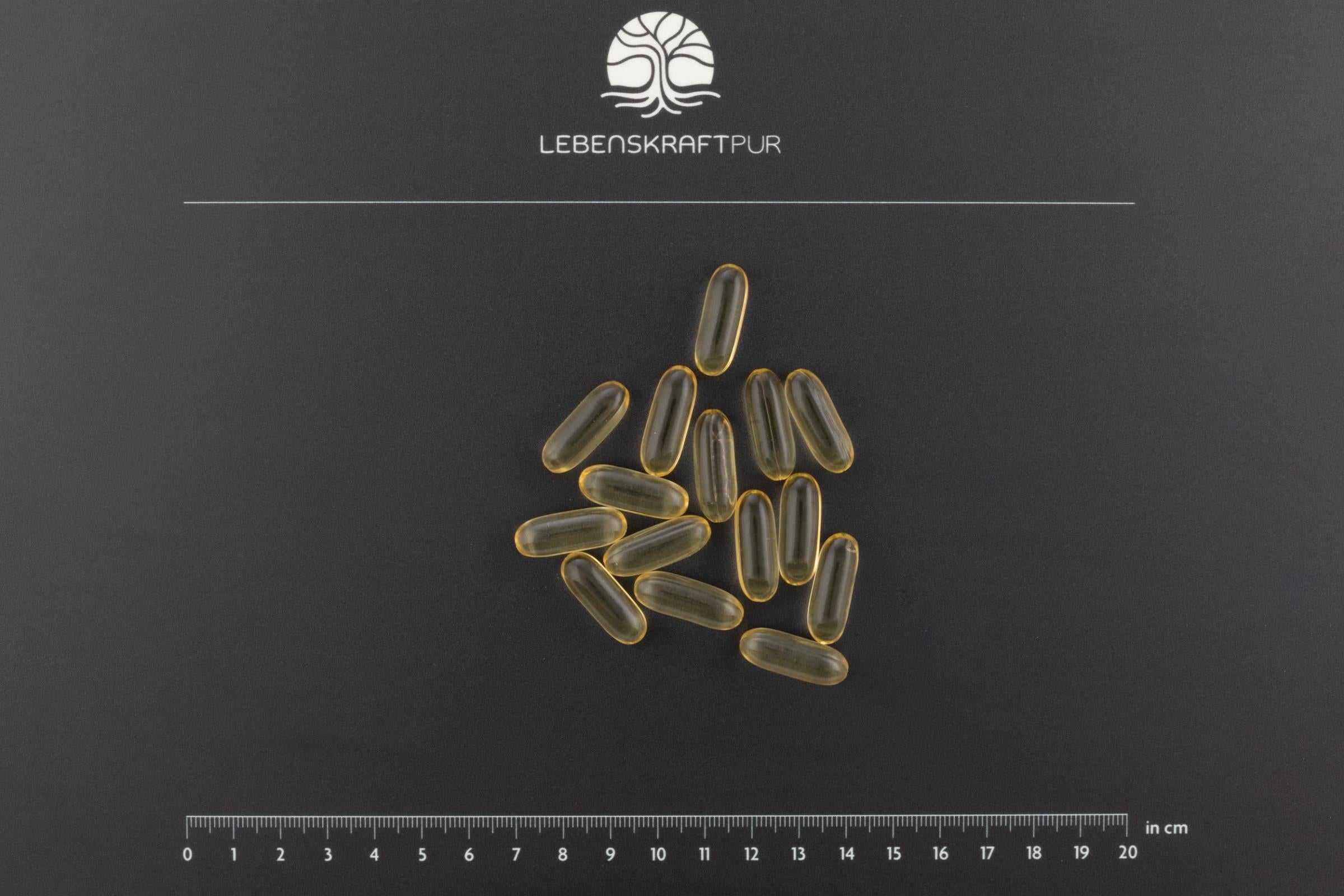 lebenskraftpur-omega-3-vegan-kapseln-algen-l-dha-epa image 2