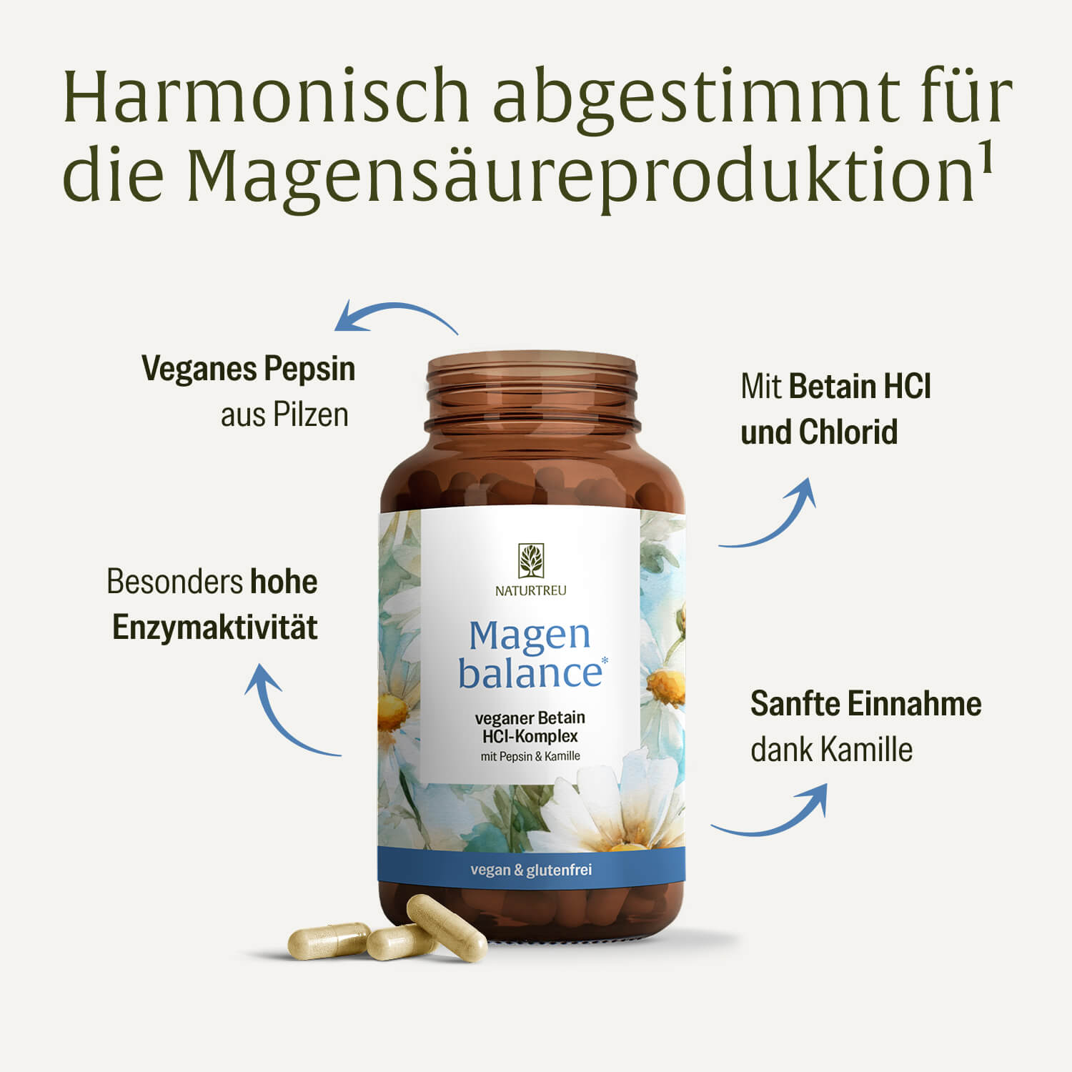 naturtreu-magenbalance-betain-hci-komplex-mit-pepsin-kamille-kapseln image 3