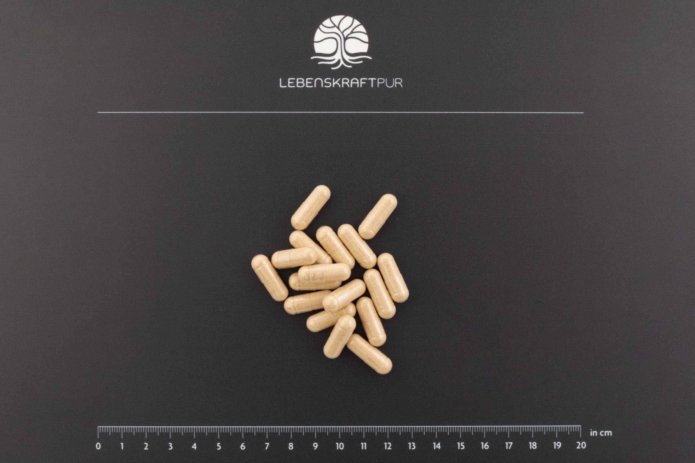 lebenskraftpur-fett-stoffwechsel-formula-kapseln-b-vitamine-zink image 3