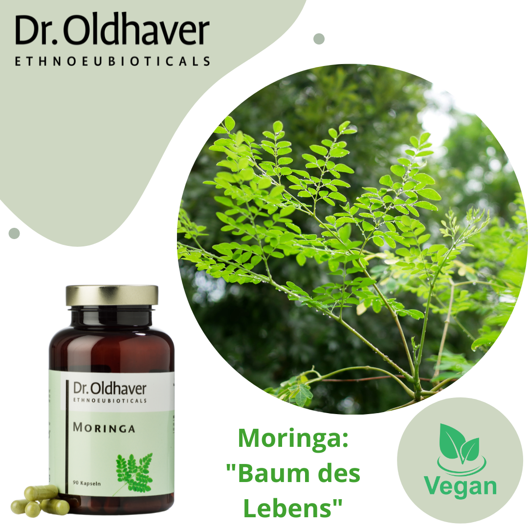 dr-oldhaver-moringa-kapseln-nahrungserg-nzung image 7