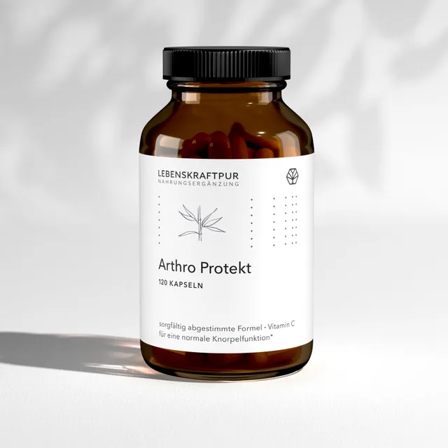 lebenskraftpur-arthro-protekt-kapseln-hyaluron-chondroitin-glucosamin image 1