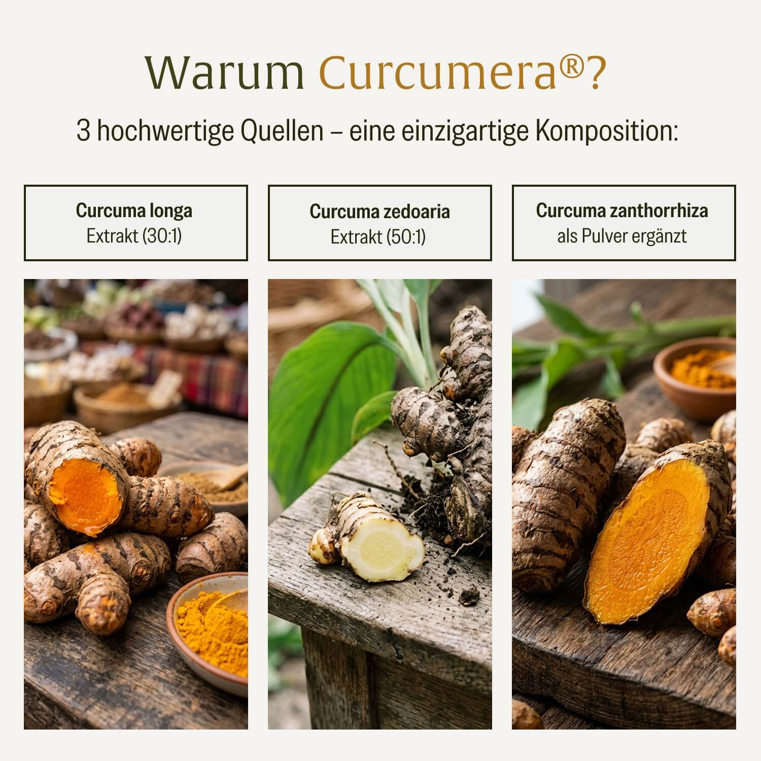 naturtreu-k-nigskurkuma-curcumera-premium-komposition-kurkuma-kapseln image 8