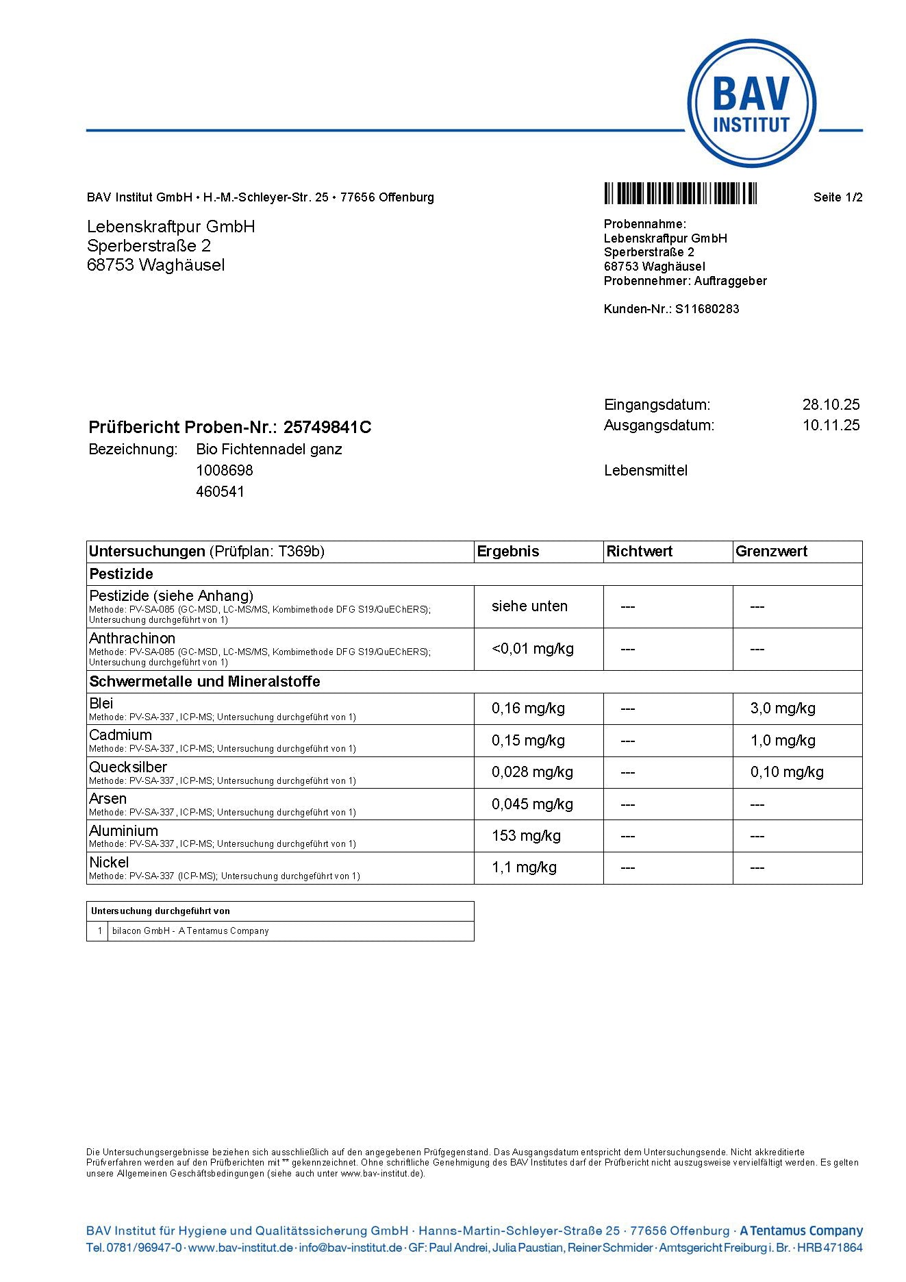 lebenskraftpur-bio-fichtennadeln-ganz-fichtennadeltee-wildsammlung image 5