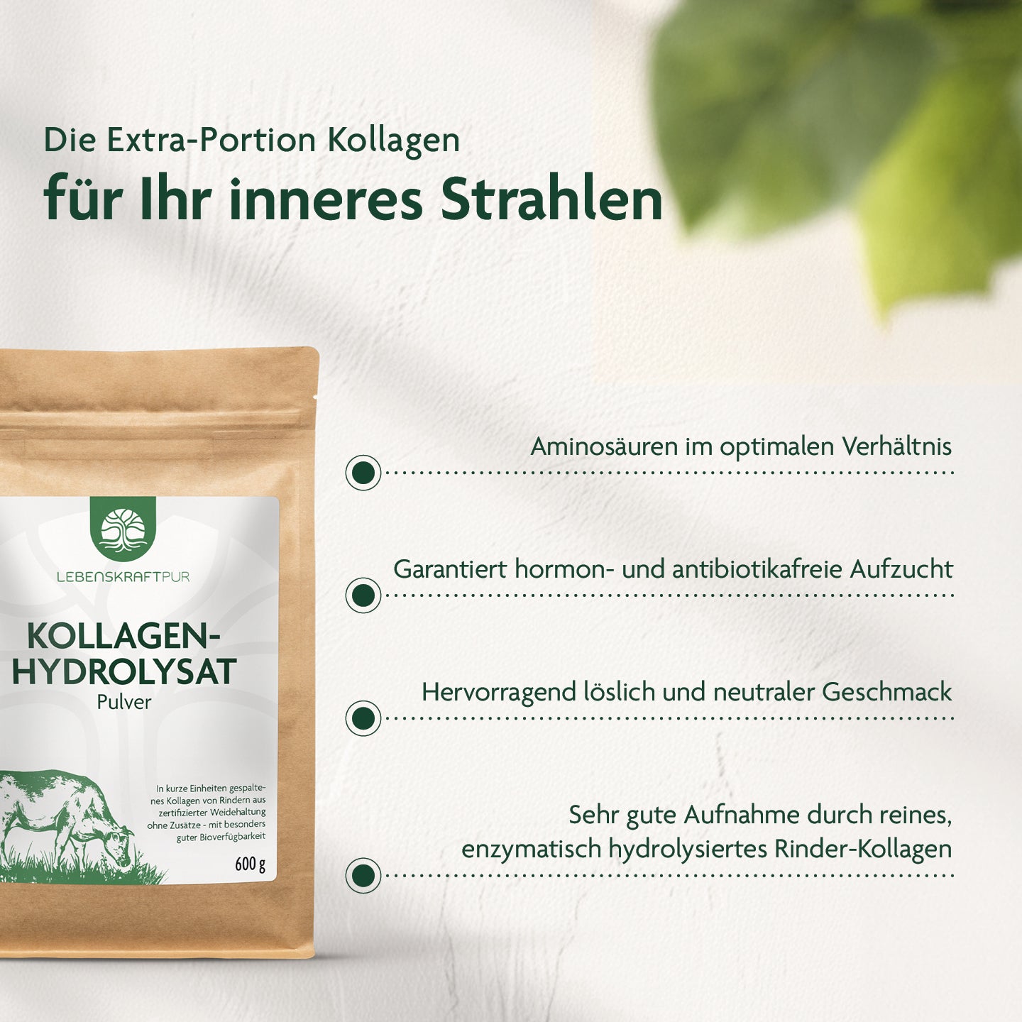 lebenskraftpur-kollagenhydrolysat-pulver-rind-weide image 2