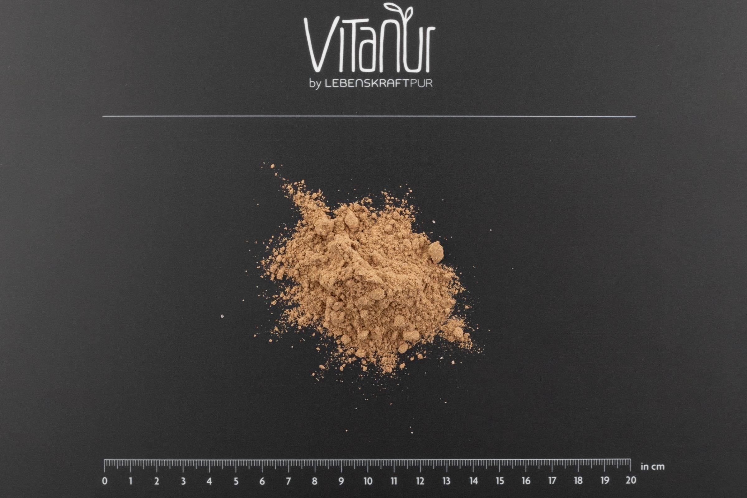 lebenskraftpur-bio-goldenes-gew-rz-pulver-goldene-milch image 3