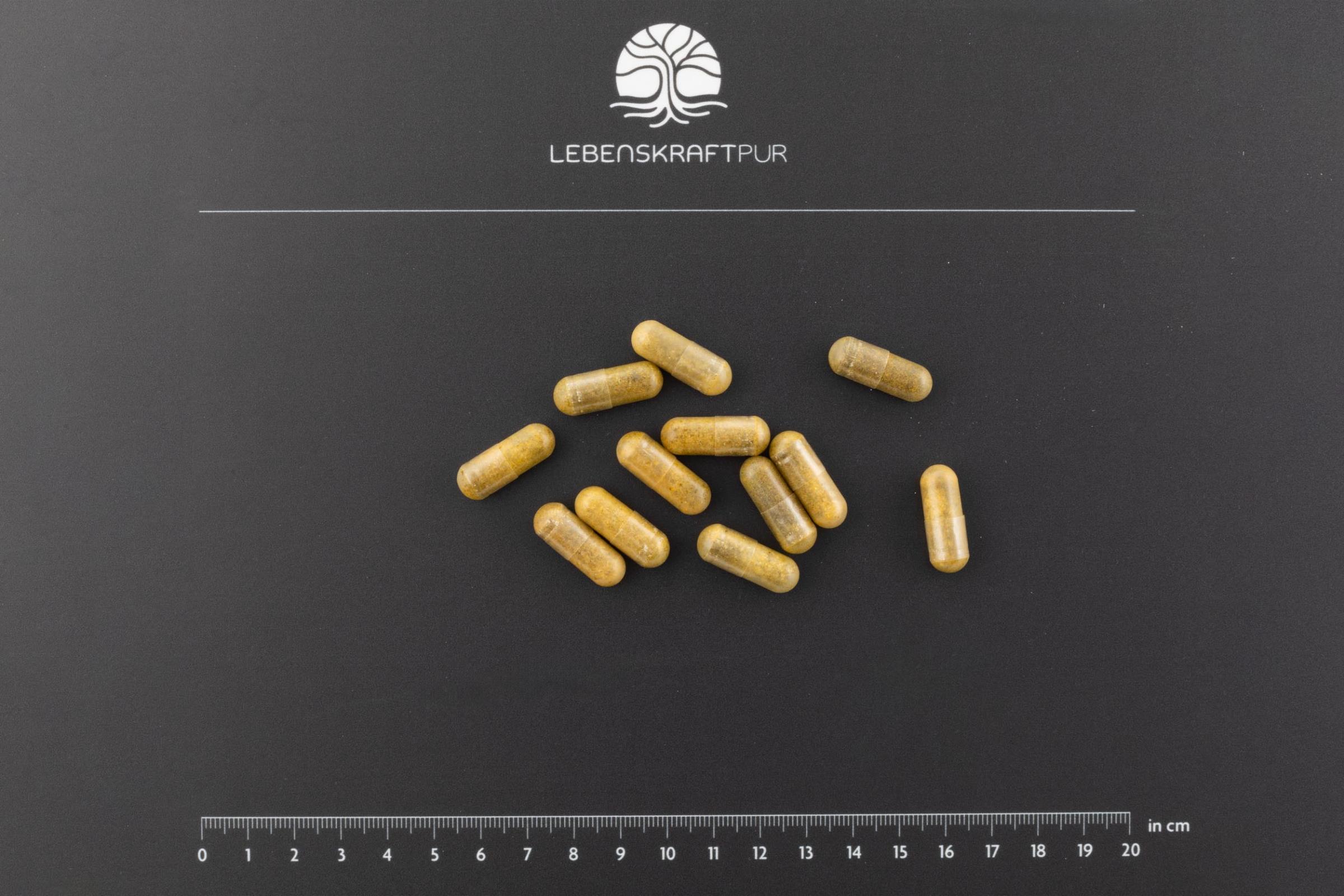 lebenskraftpur-corpura-komplex-kapseln image 3