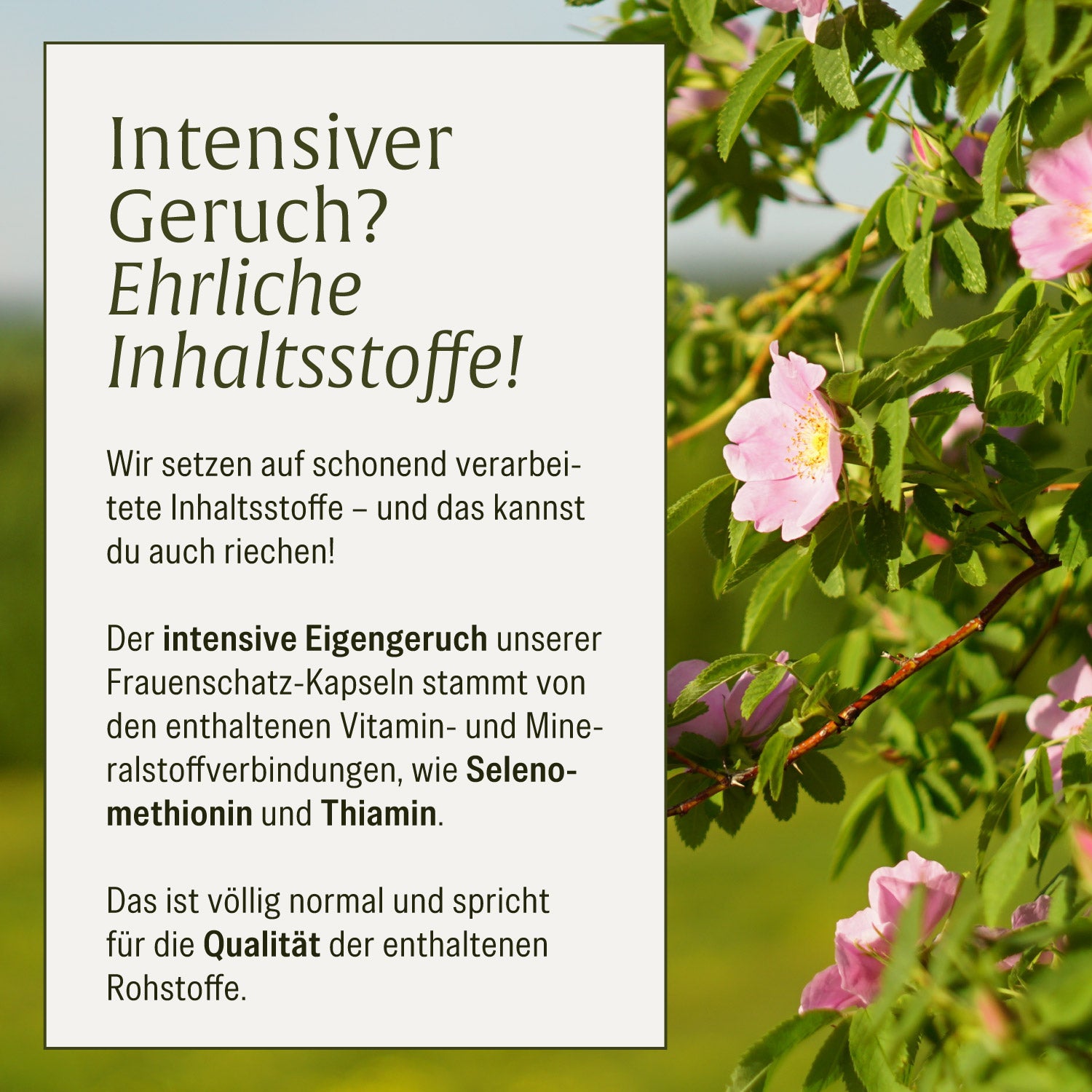 naturtreu-frauenschatz-vitamine-mineralstoffe-f-r-frauen-kapseln image 8