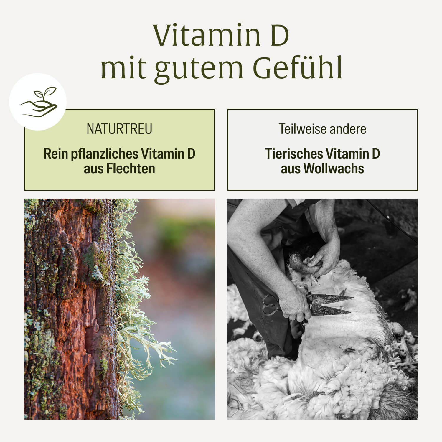 naturtreu-sonnenkind-vitamin-d3-k2-tropfen-kinder-ab-4-jahren-500-i-e image 7