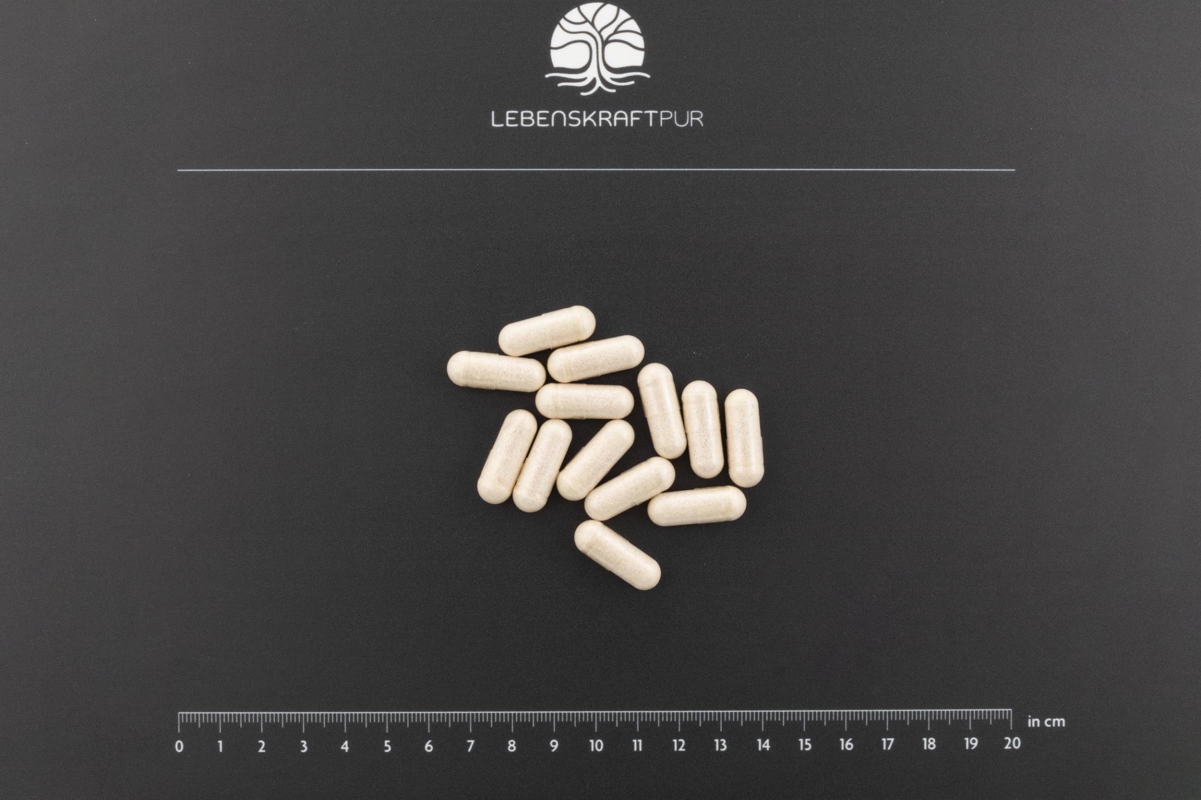 lebenskraftpur-kardio-druck-kapseln-kalium-arginin-magnesium image 3