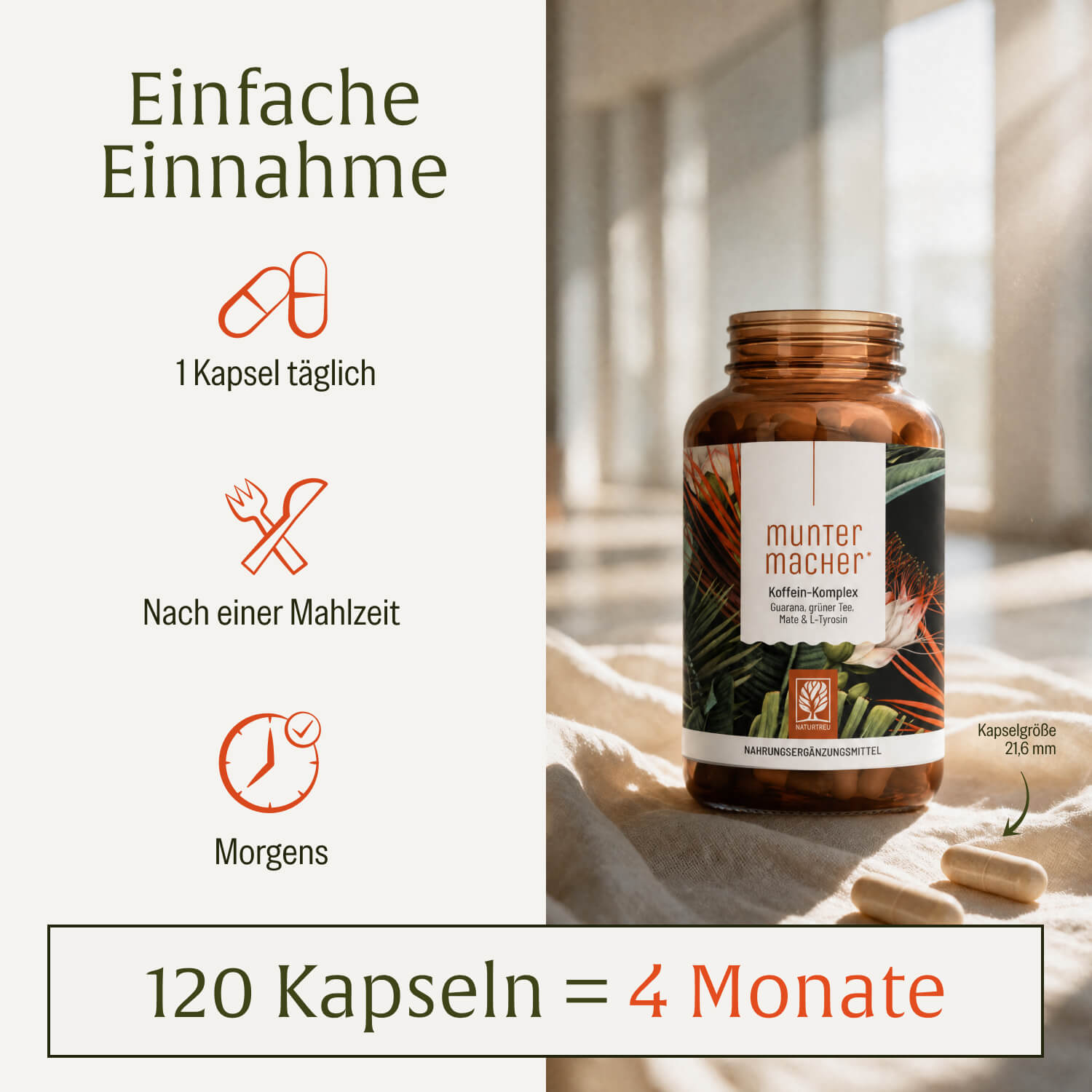 naturtreu-muntermacher-koffein-komplex-mit-guarana-mate-kapseln image 6