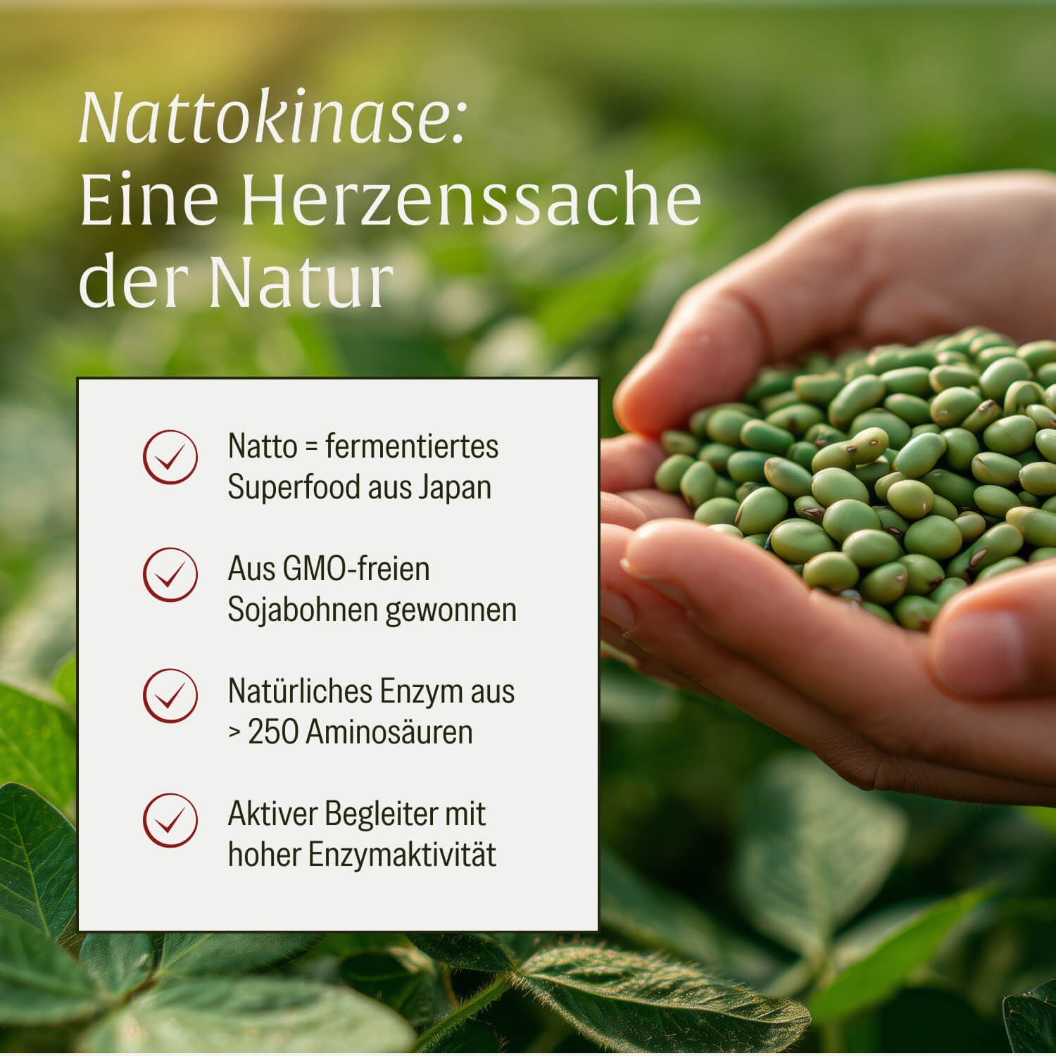 naturtreu-blutfluss-nattokinase-komplex-mit-arginin-und-citrullin image 7