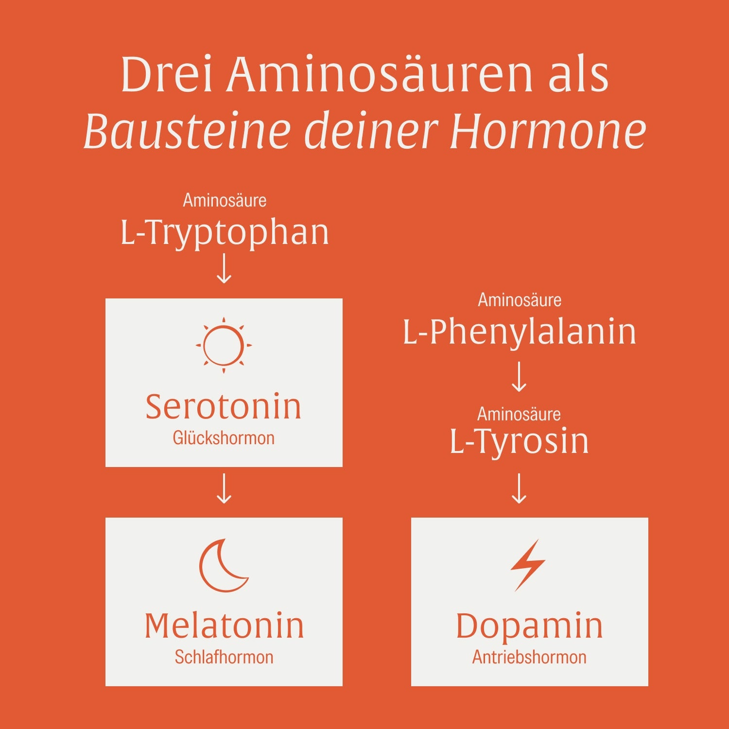 naturtreu-motivationskick-l-tyrosin-komplex-kapseln image 7
