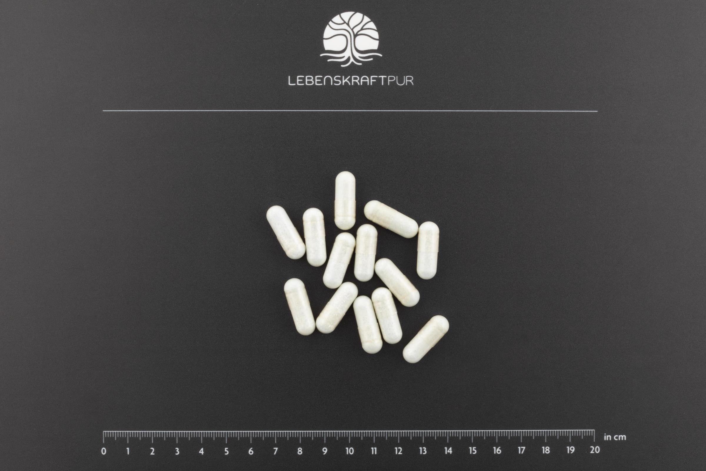lebenskraftpur-bindegewebe-vital-kapseln-kollagen-formel image 3