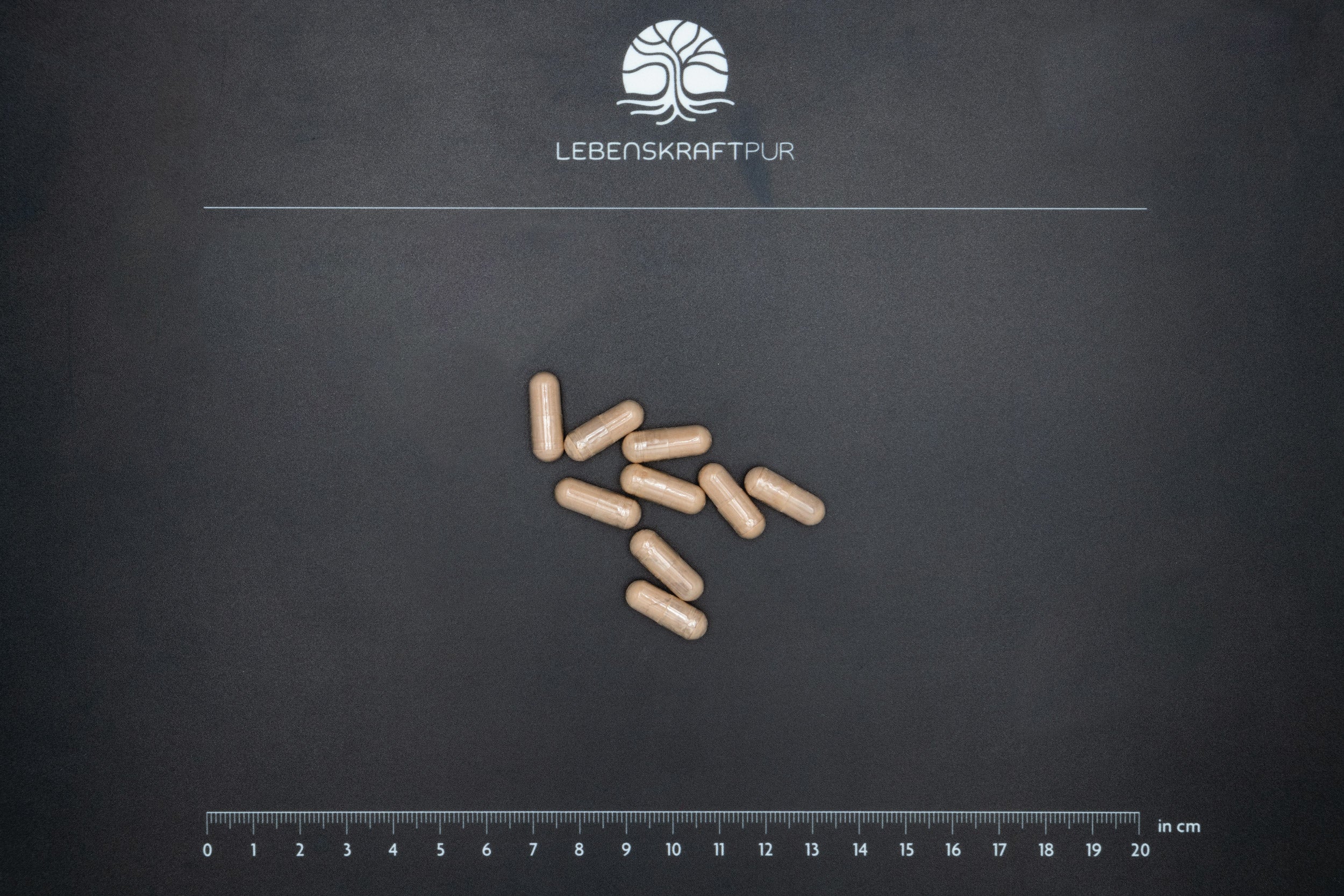 lebenskraftpur-rhodiola-rosea-extrakt-kapseln-rhodiolife image 3