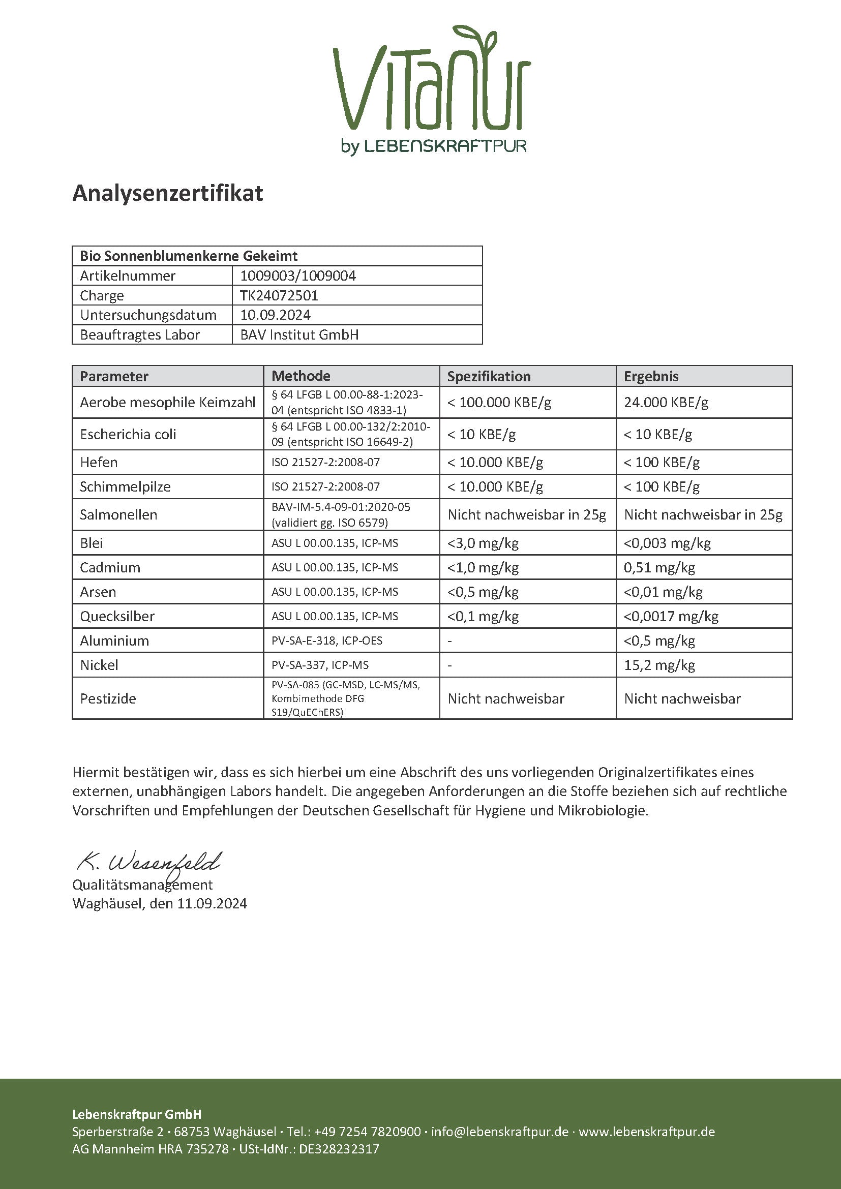 lebenskraftpur-bio-sonnenblumenkerne-gekeimt-superfood image 5