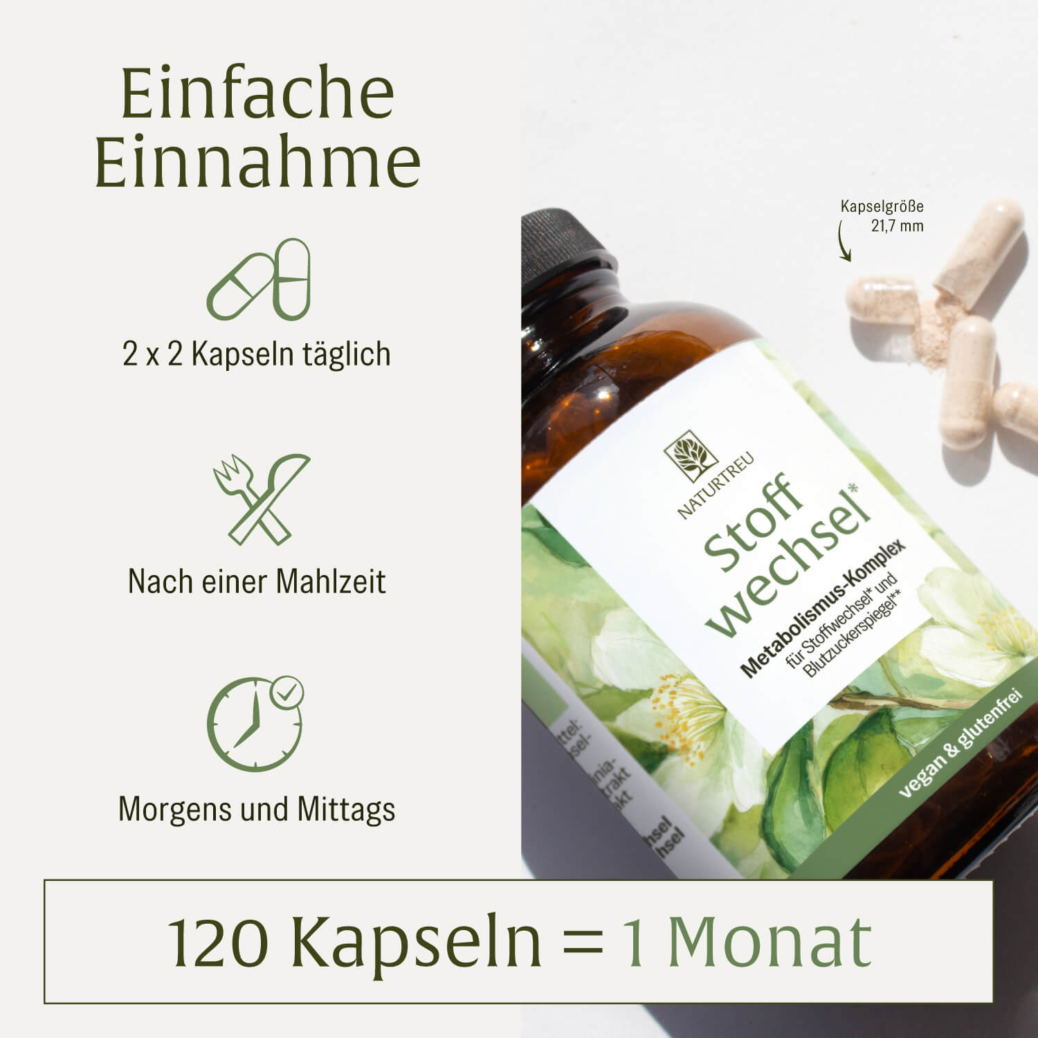 naturtreu-stoffwechsel-metabolismus-komplex-kapseln-mit-acetyl-l-carnitin-bitter image 6