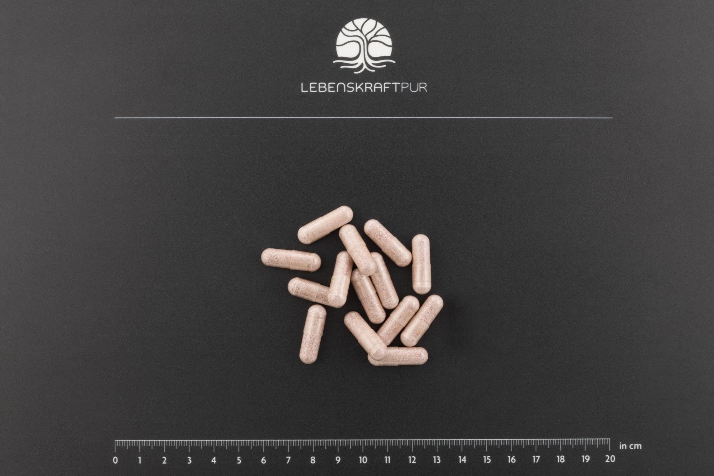 lebenskraftpur-cerebro-vital-kapseln-traube-heidelbeere image 3