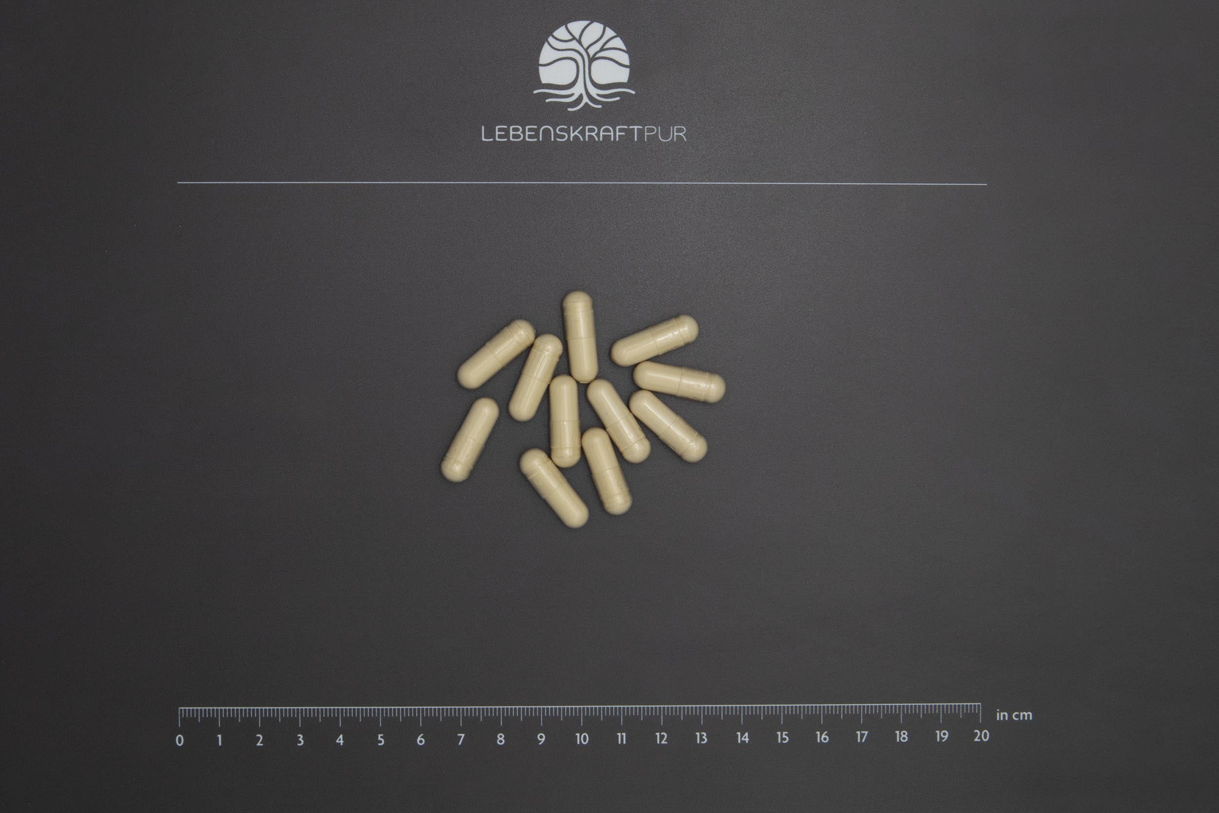 lebenskraftpur-sulforaphan-formula-kapseln-brokkolisamen-extrakt-vegan image 3
