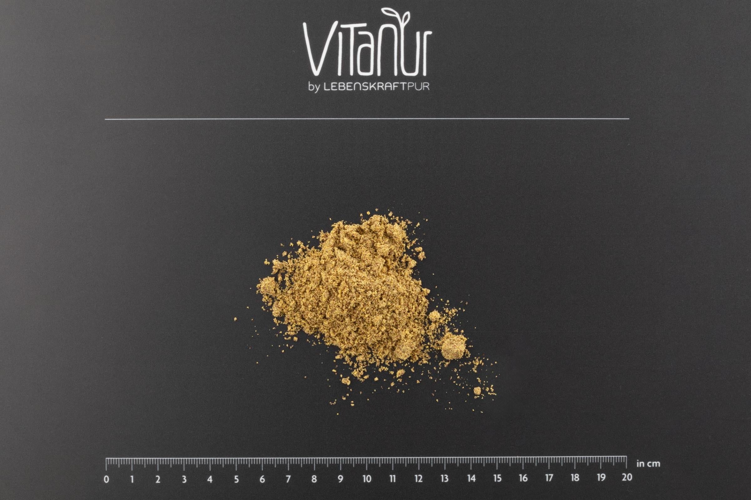 lebenskraftpur-bio-brokkolisamen-gekeimt-pulver-superfood image 3