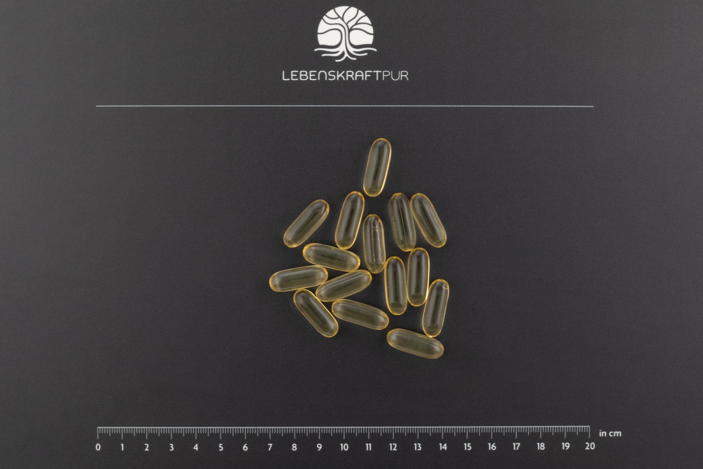 lebenskraftpur-omega-3-vegan-kapseln-algen-l-dha-epa image 4