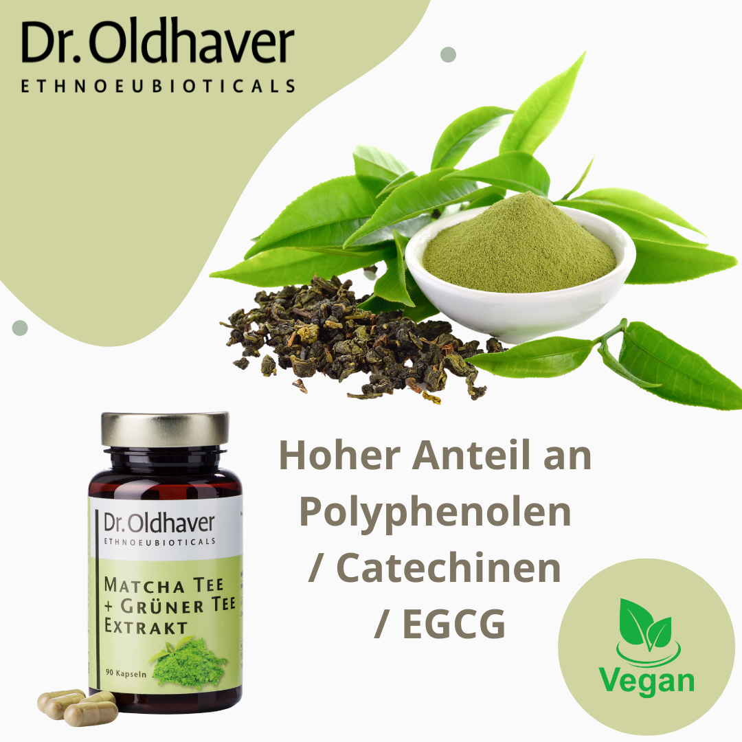 dr-oldhaver-matcha-tee-gr-ner-tee-extrakt-kapseln image 6