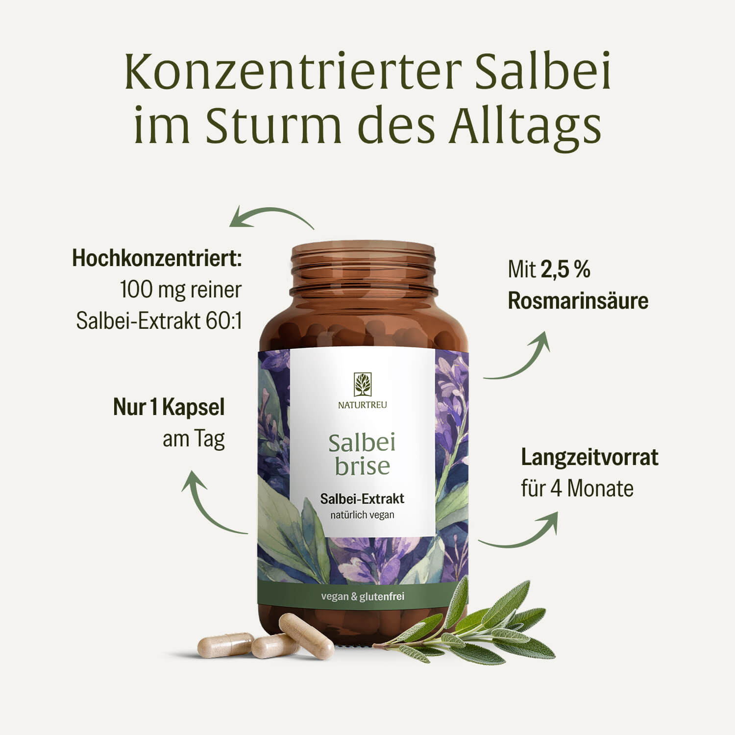 naturtreu-salbeibrise-hochdosierte-salbei-kapseln-mit-rosmarins-ure image 3