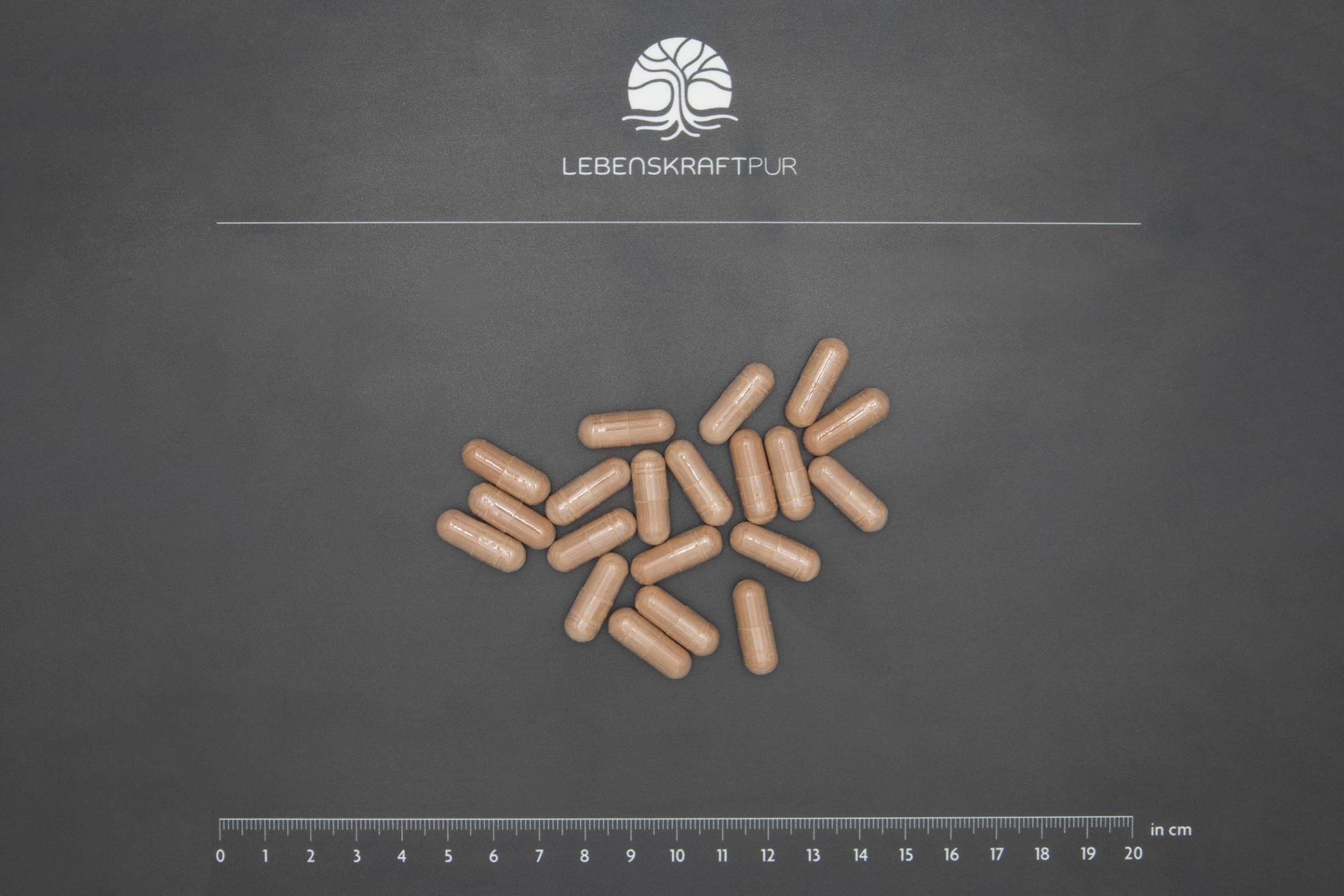 lebenskraftpur-opc-komplex-forte-kapseln-applephenon-fenoprolic-grapinside image 3