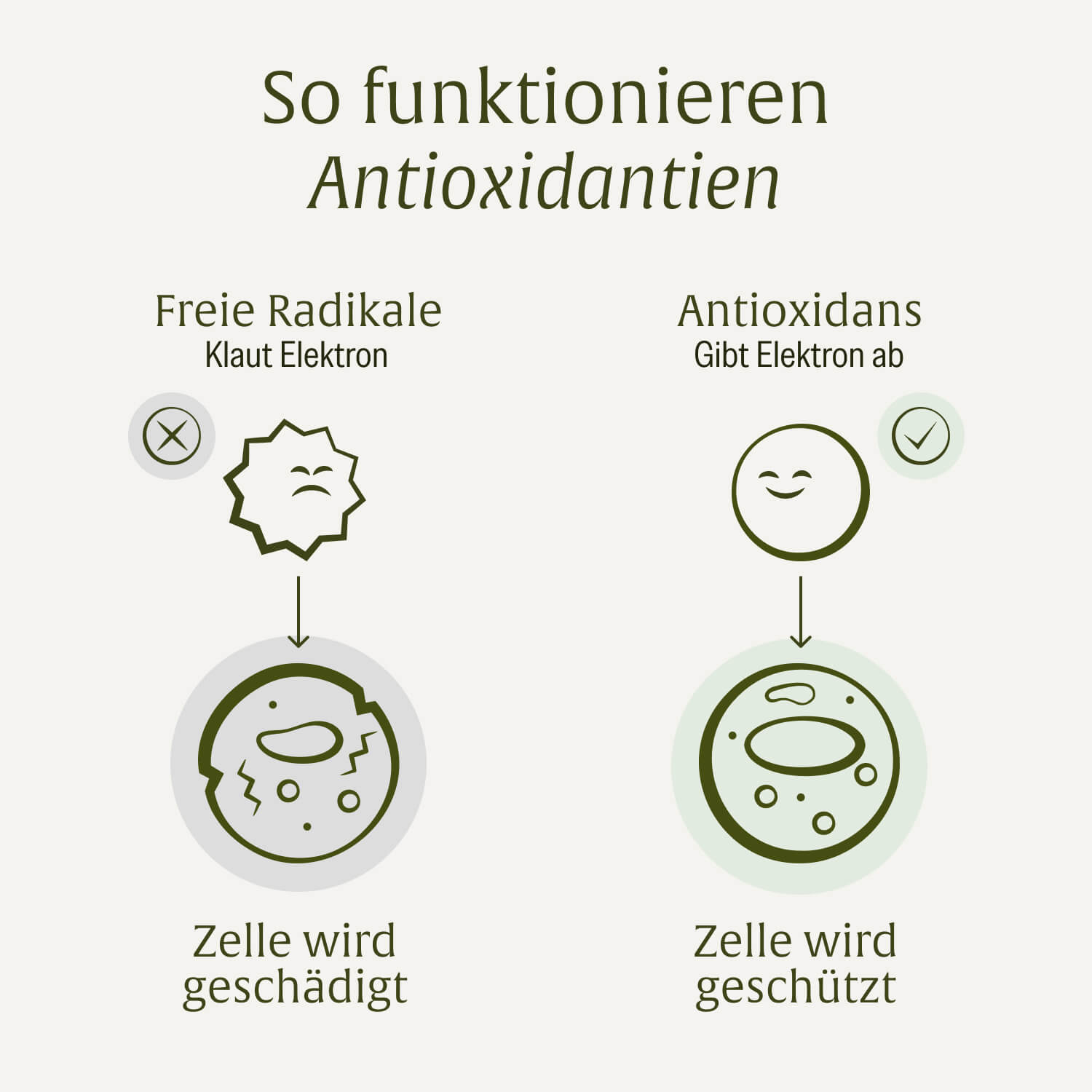 naturtreu-schutzwunder-antioxidantien-komplex-kapseln image 7