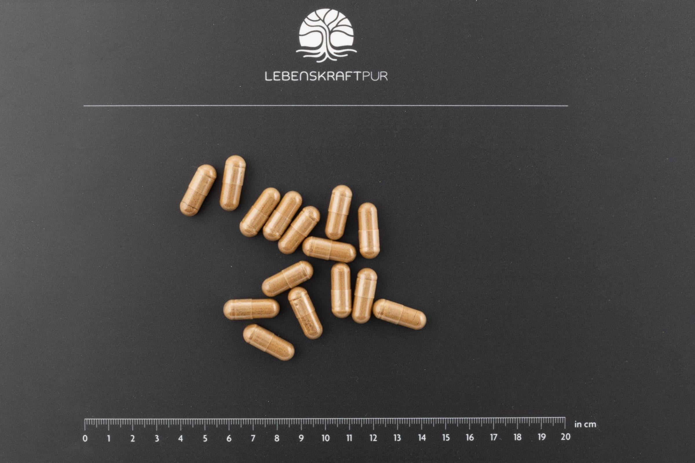 lebenskraftpur-bio-pilzkraft-protekt-kapseln-reishi-maitake-shiitake image 3