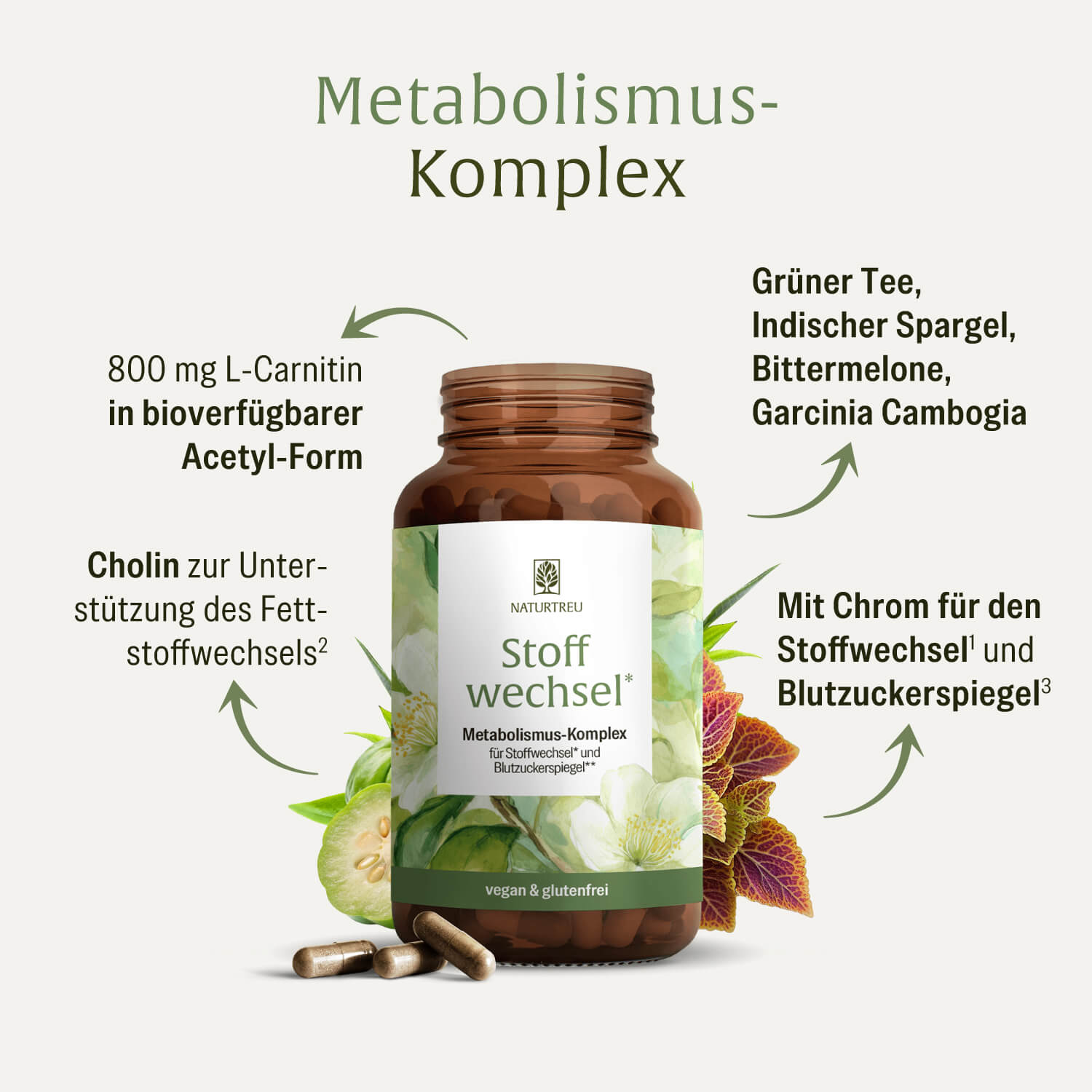 naturtreu-stoffwechsel-metabolismus-komplex-kapseln-mit-acetyl-l-carnitin-bitter image 3