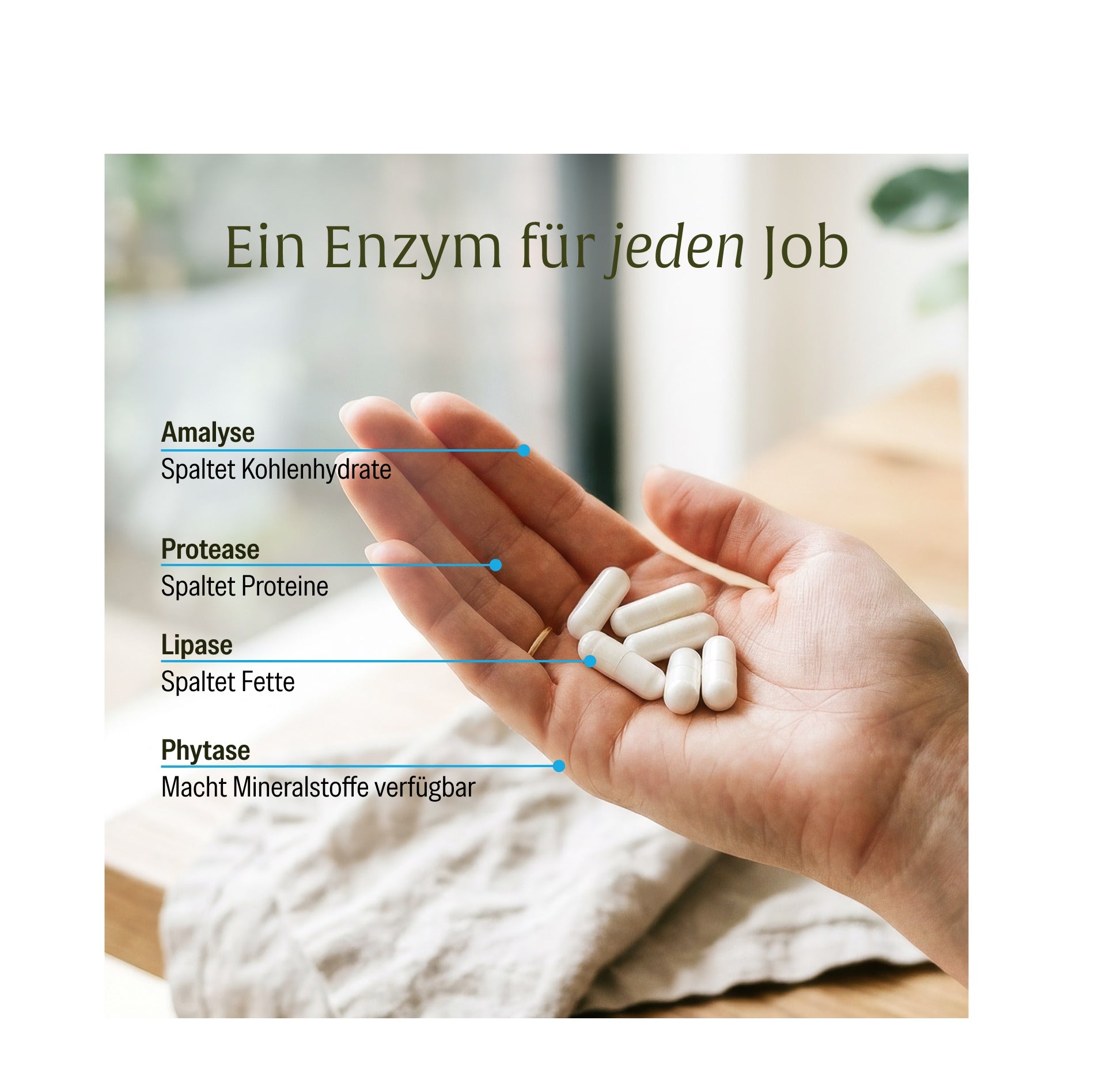naturtreu-enzymhelden-enzym-komplex-protease-amylase-lipase-phytase image 7