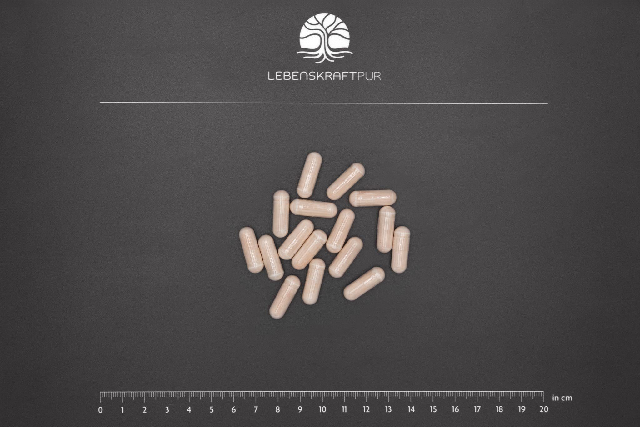 lebenskraftpur-lactoferrin-kapseln-400-mg image 3
