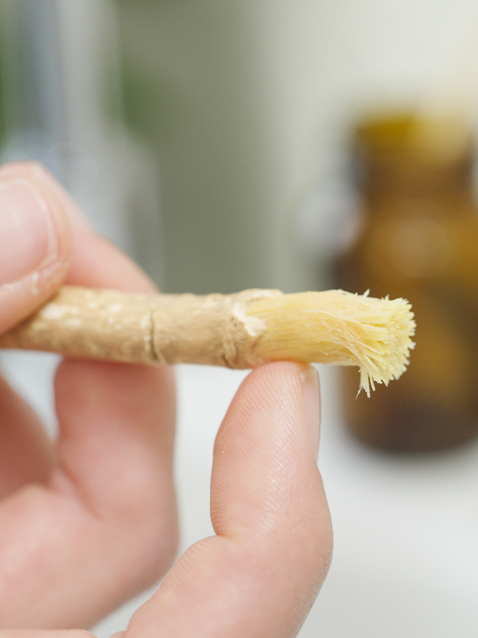lebenskraftpur-miswak-zahnb-rstenholz image 4