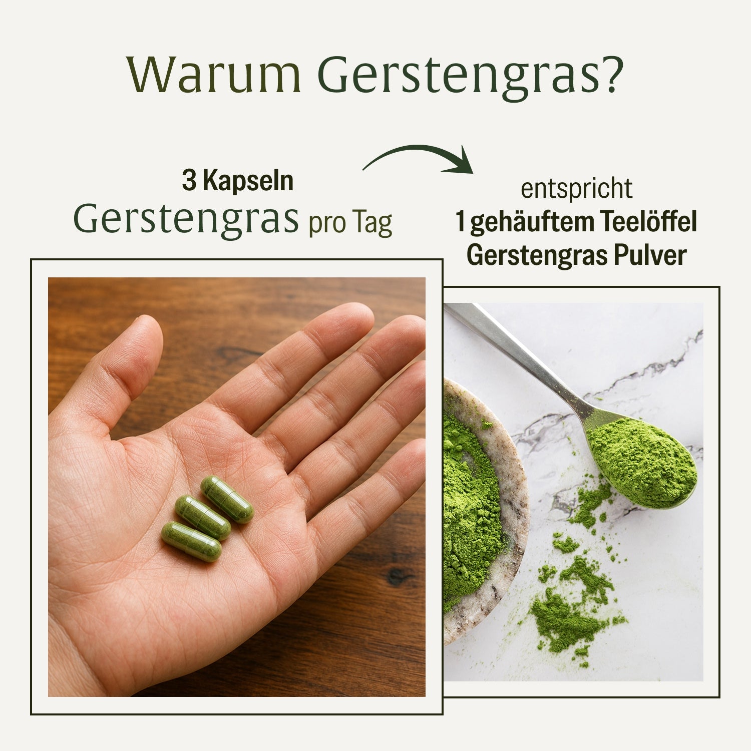 naturtreu-gerstengras-bio-kapseln-1-500-mg-tagesdosis image 6