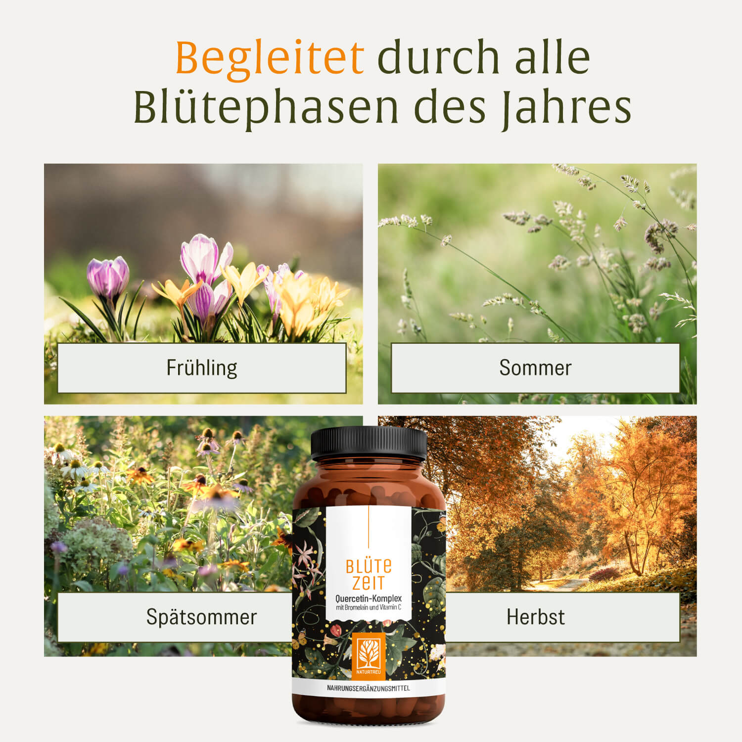 naturtreu-bl-tezeit-quercetin-komplex-mit-bromelain-vitamin-c-kapseln image 7