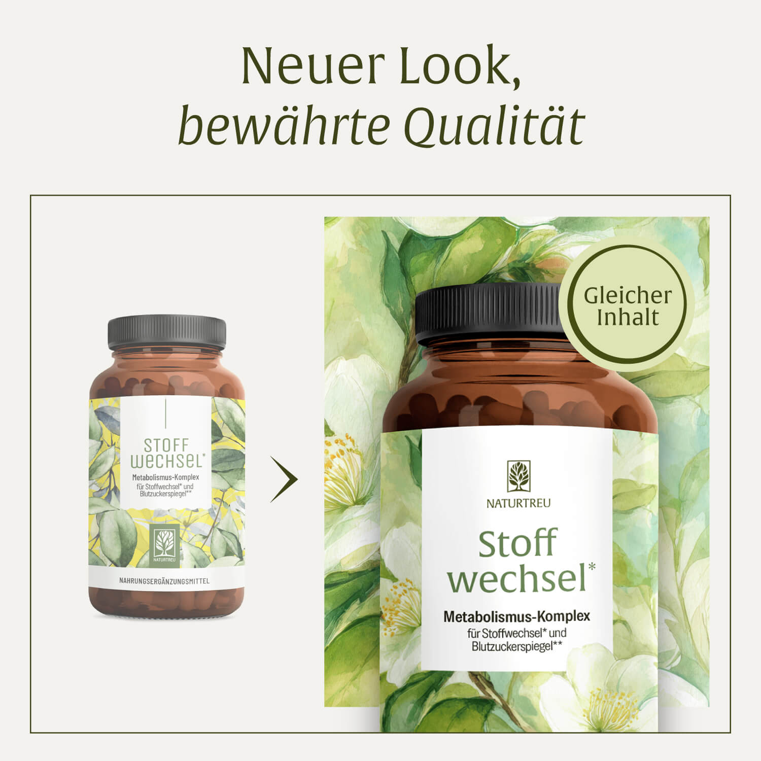 naturtreu-stoffwechsel-metabolismus-komplex-kapseln-mit-acetyl-l-carnitin-bitter image 7