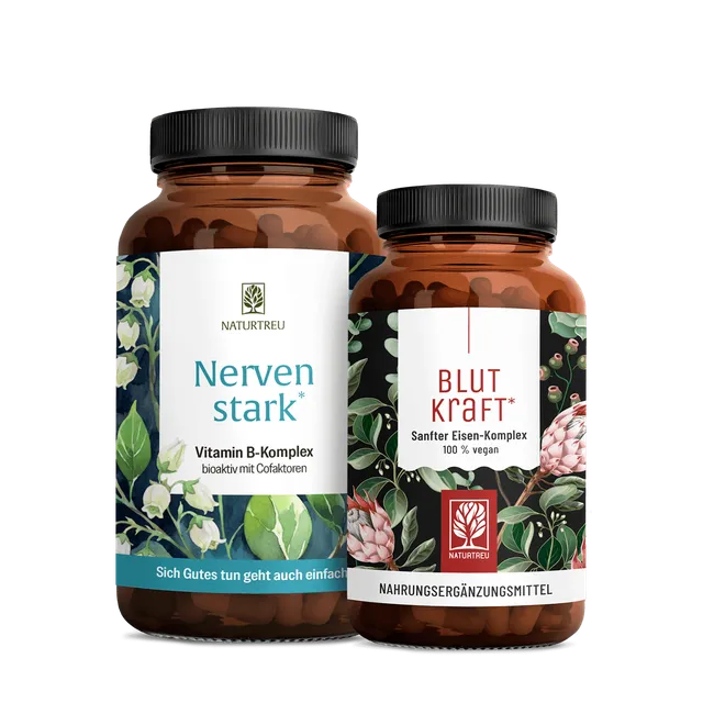 naturtreu-innere-st-rke-sparpaket-nervenstark-blutkraft-eisen-b-vitamine image 1