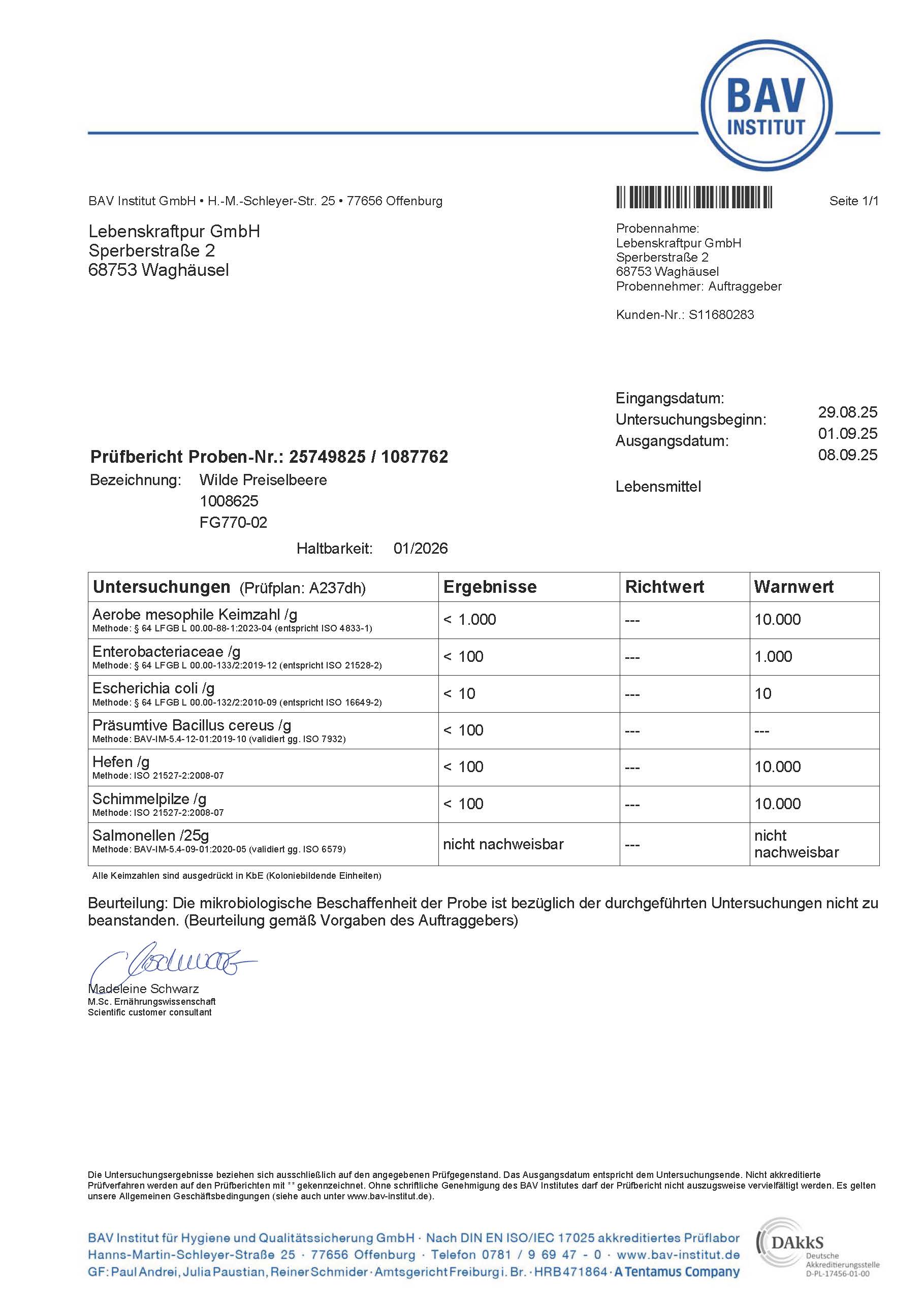 lebenskraftpur-bio-wilde-preiselbeere-pulver-superfood image 7