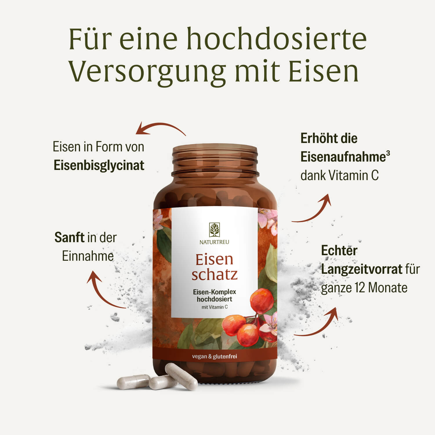 naturtreu-eisenschatz-eisen-komplex-hochdosiert-mit-vitamin-c-20-mg image 3