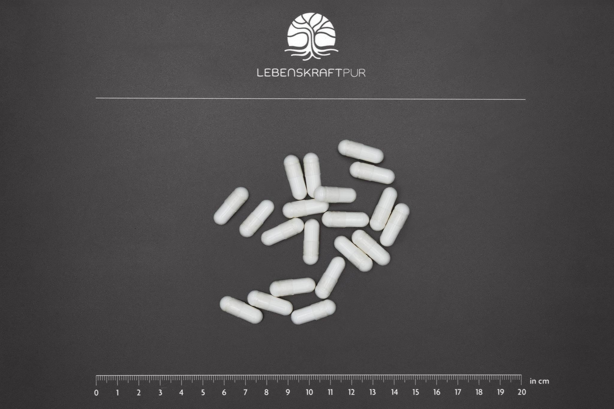lebenskraftpur-magtein-magnesium-l-threonat-kapseln image 3