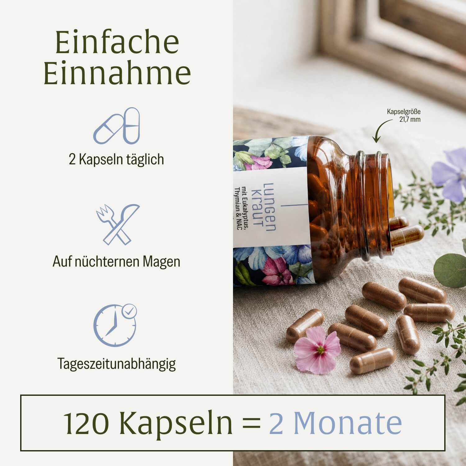 naturtreu-lungenkraut-kapseln-mit-eukalyptus-thymian-nac image 6