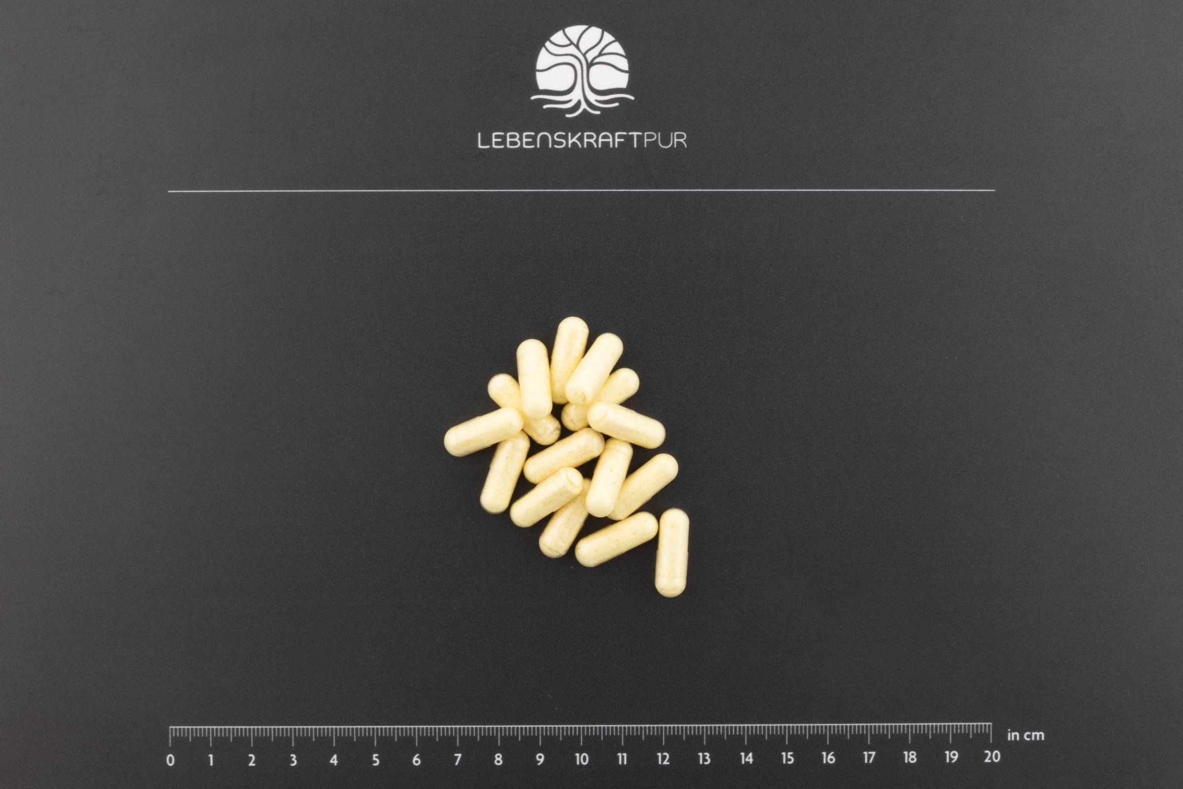 lebenskraftpur-r-alpha-lipons-ure-plus-kapseln-600-mg-r-ala image 3