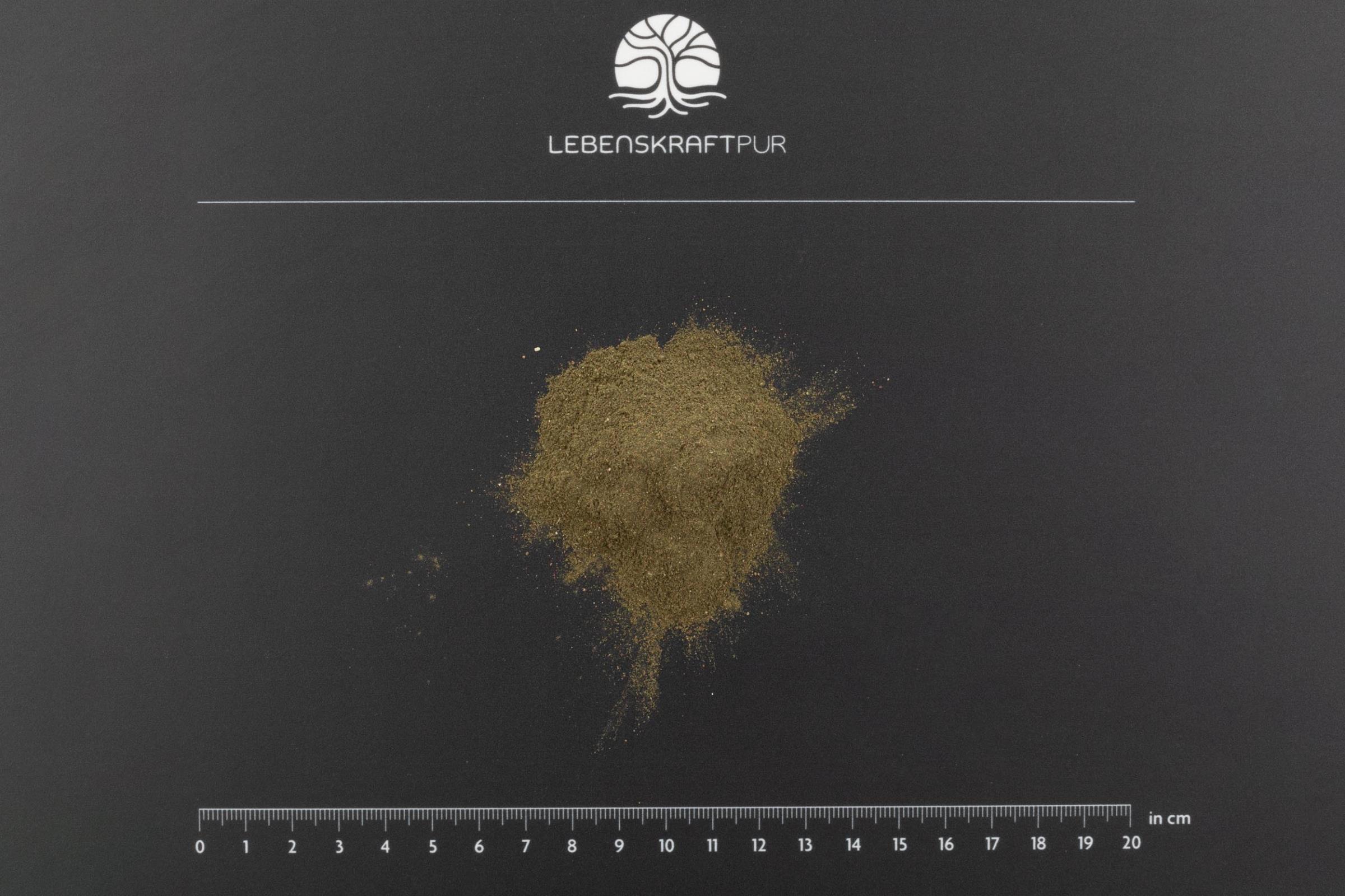 lebenskraftpur-bio-zahnvital-pulver-naturkosmetik image 3