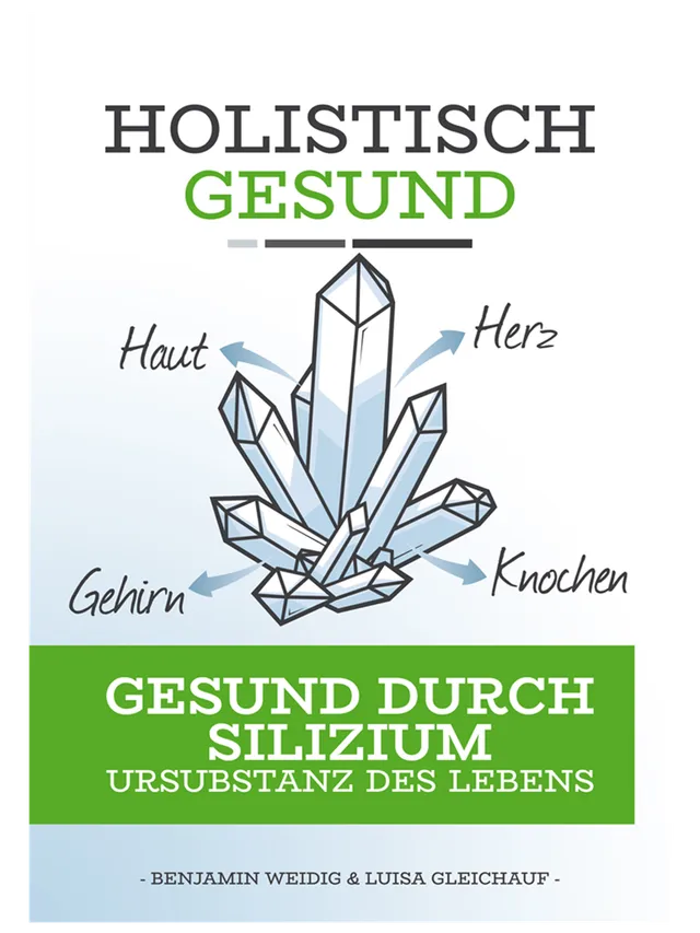 holistisch-gesund-gesund-durch-silizium-buch image 1