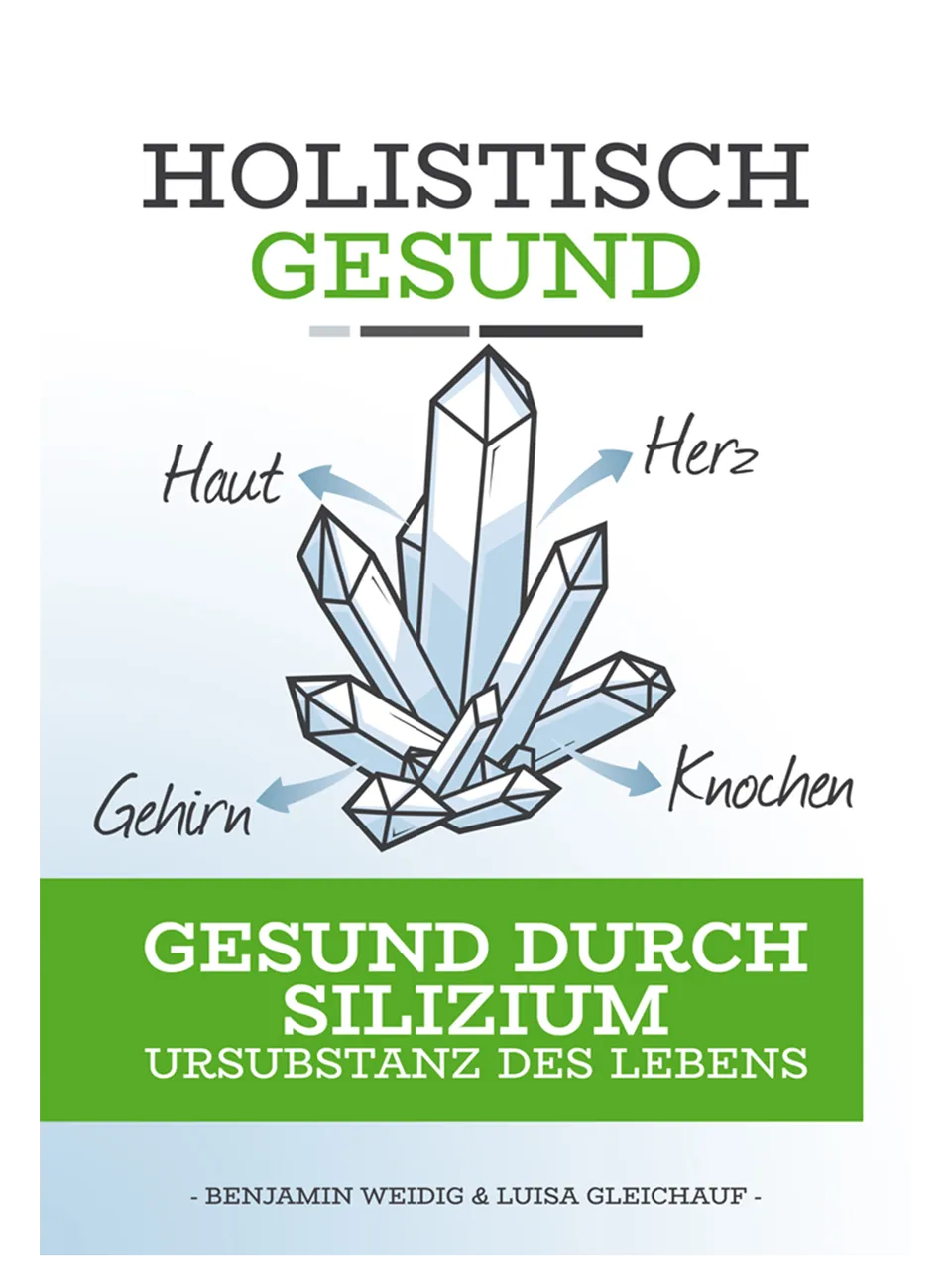 holistisch-gesund-gesund-durch-silizium-buch image 1