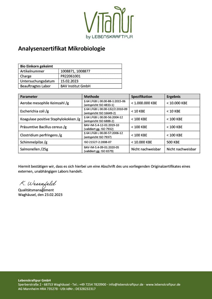 lebenskraftpur-bio-einkorn-gekeimt-gekeimtes-vollkorn-superfood image 4